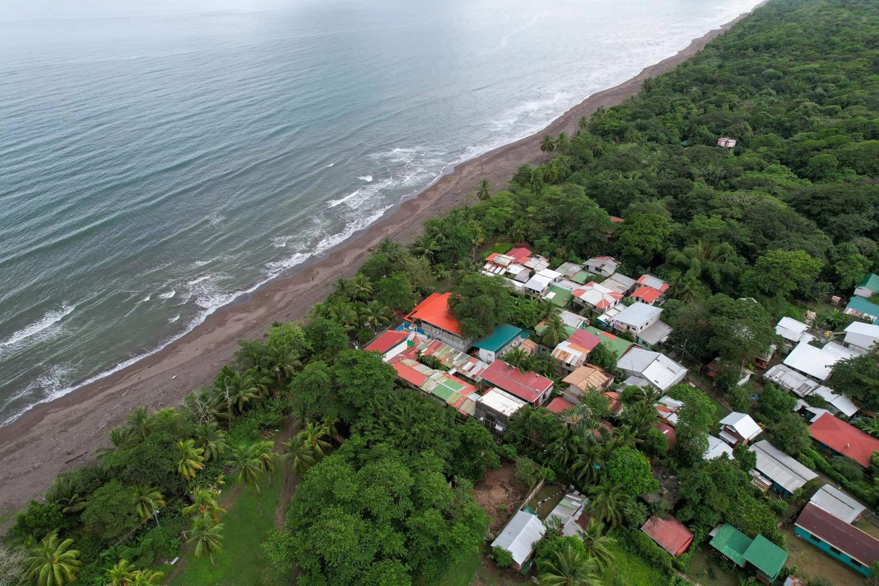 Day in El Deseo Serendipity Tortuguero