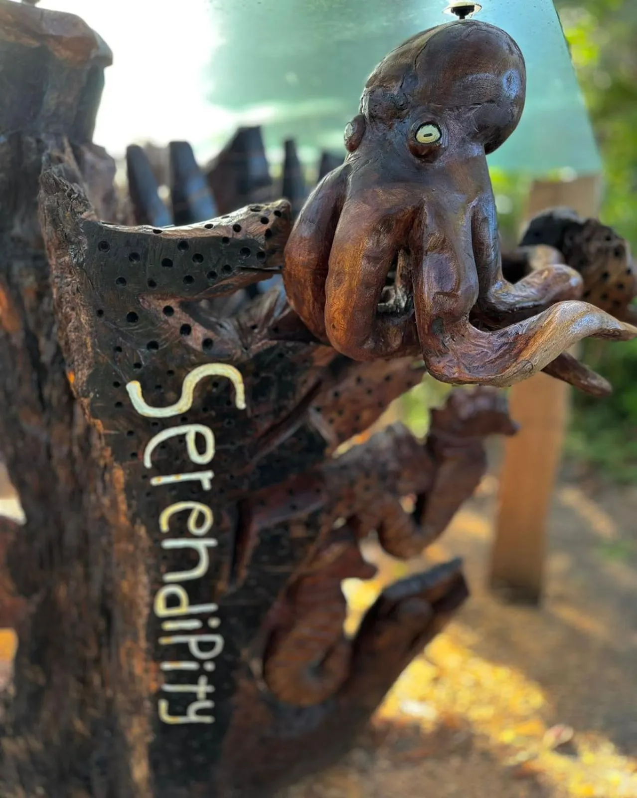 Beach in El Deseo Serendipity Tortuguero