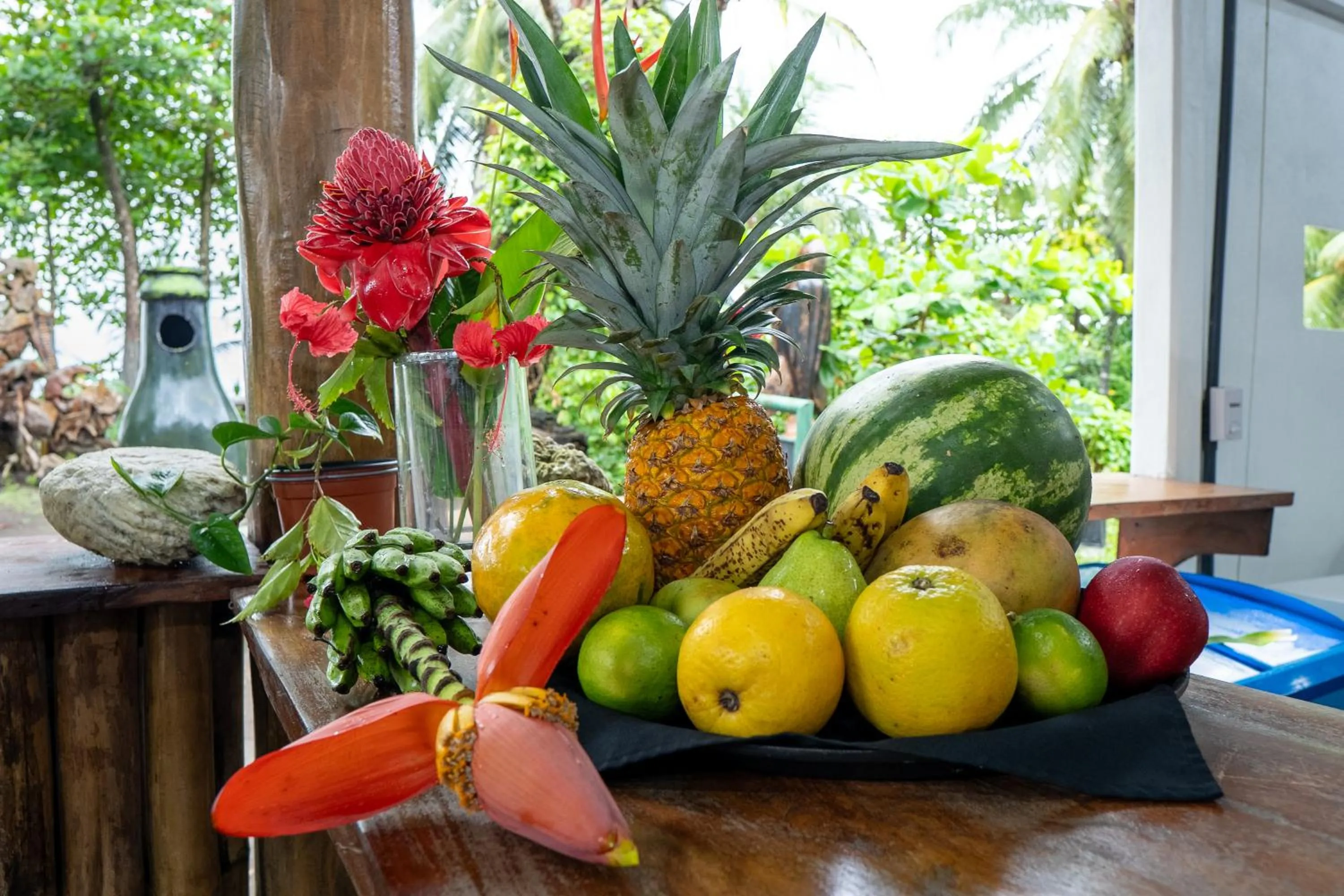 El Deseo Serendipity Tortuguero