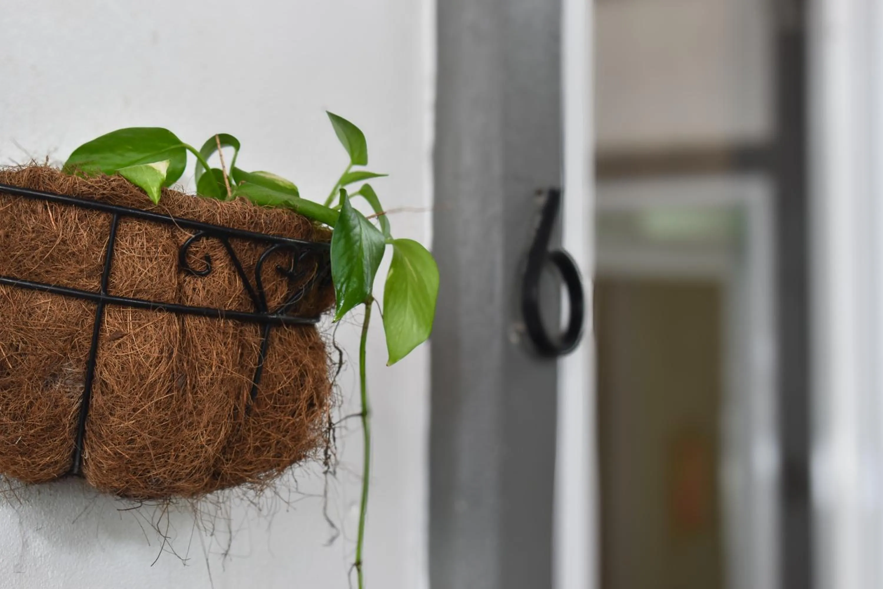 Property building in El Deseo Serendipity Tortuguero