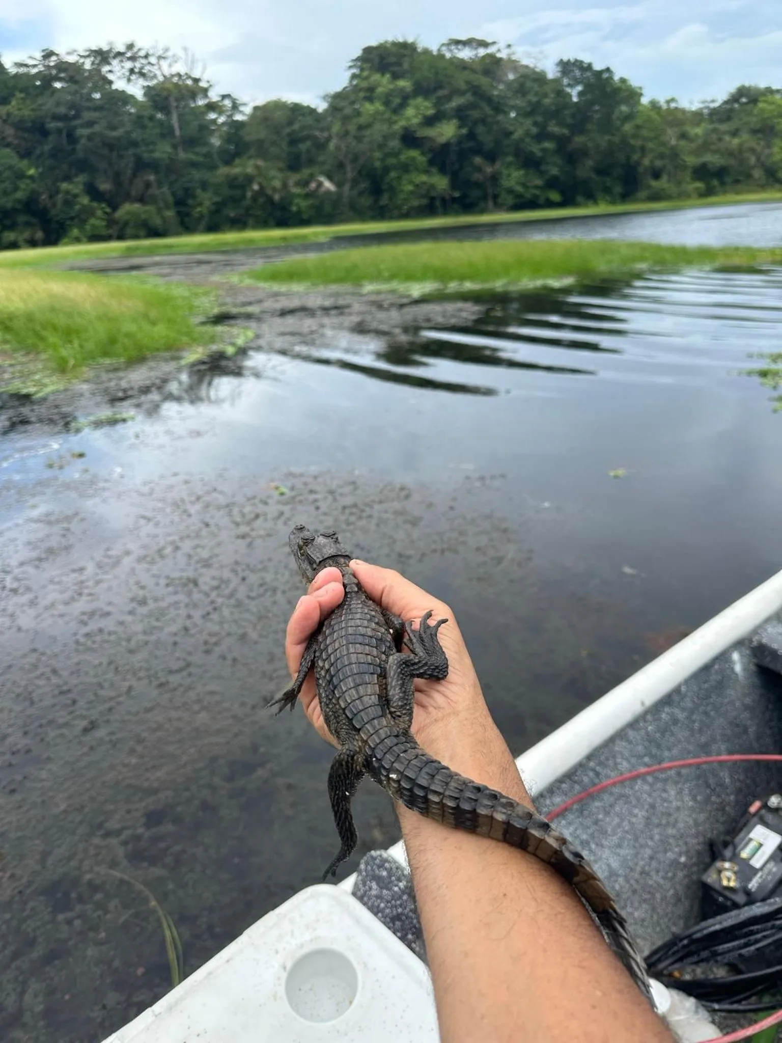 Activities in El Deseo Serendipity Tortuguero