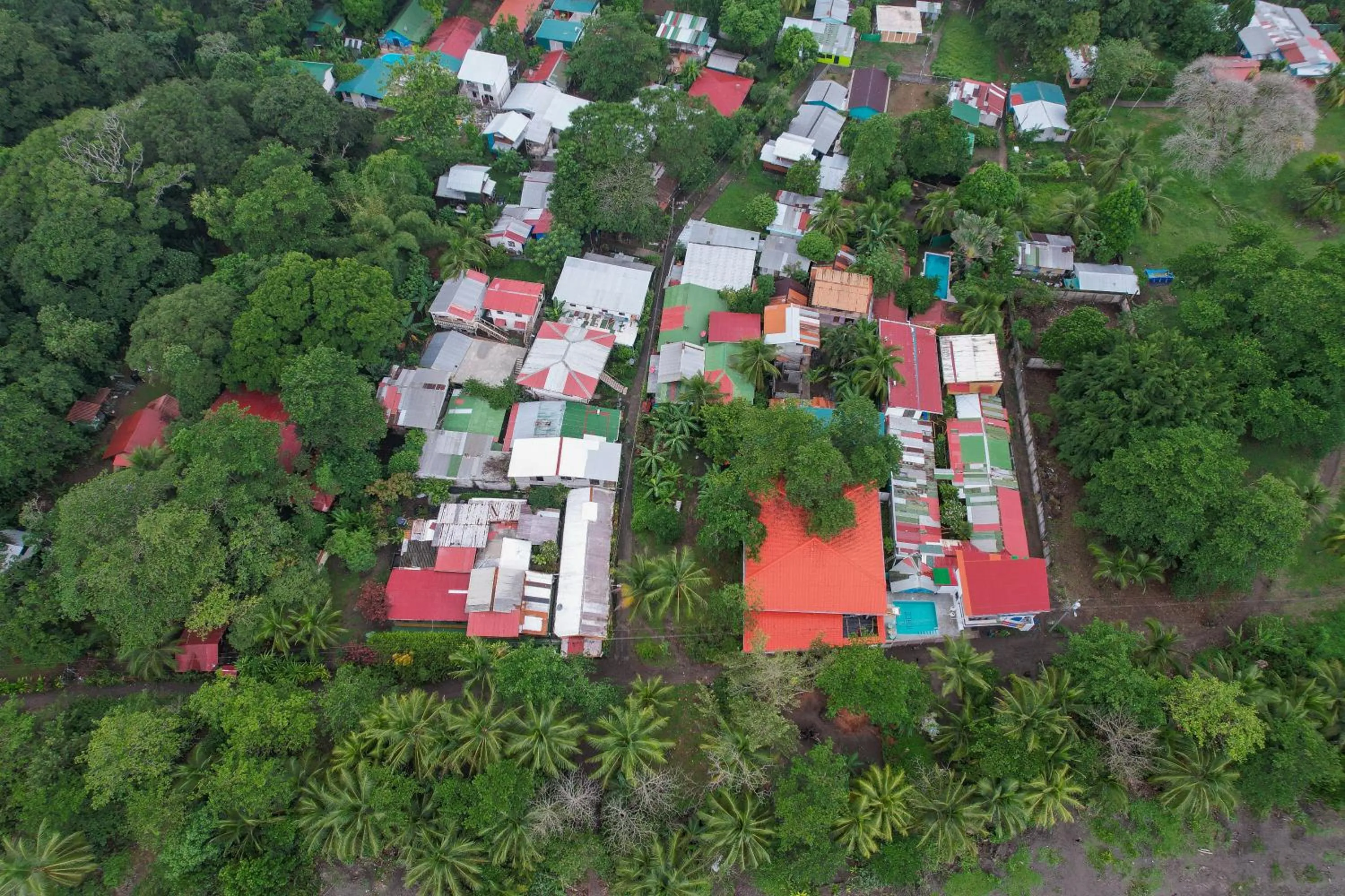 Natural landscape in El Deseo Serendipity Tortuguero