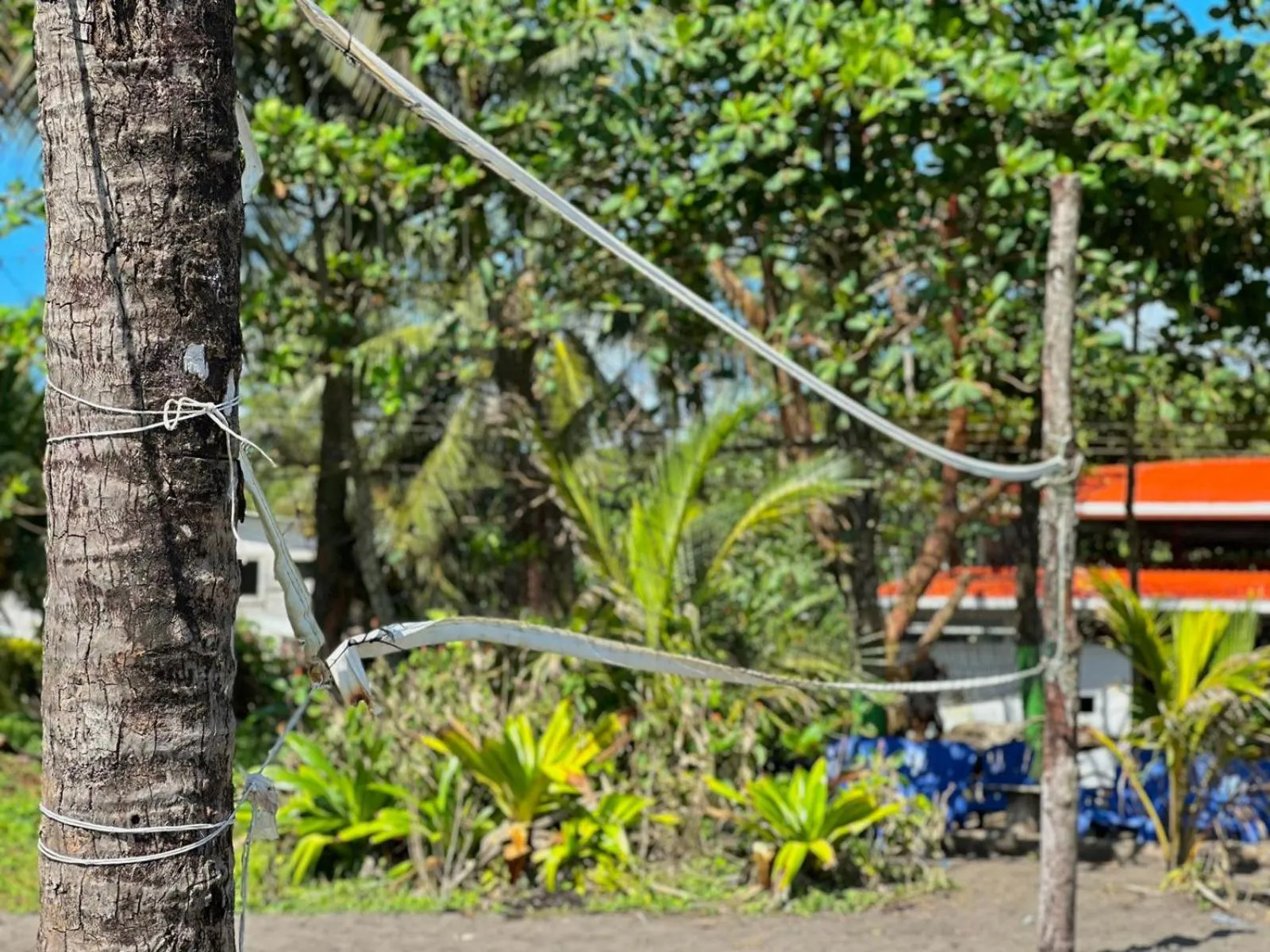 Natural landscape in El Deseo Serendipity Tortuguero