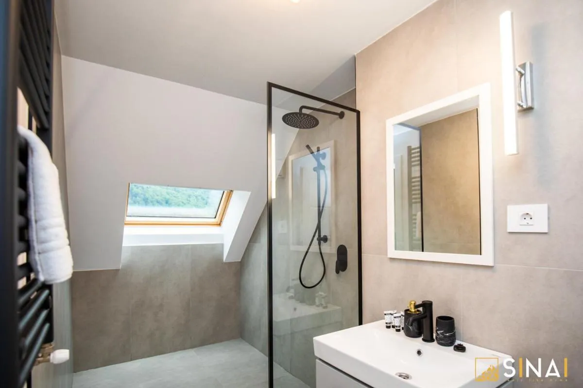 Shower in SINAI APH Apartments
