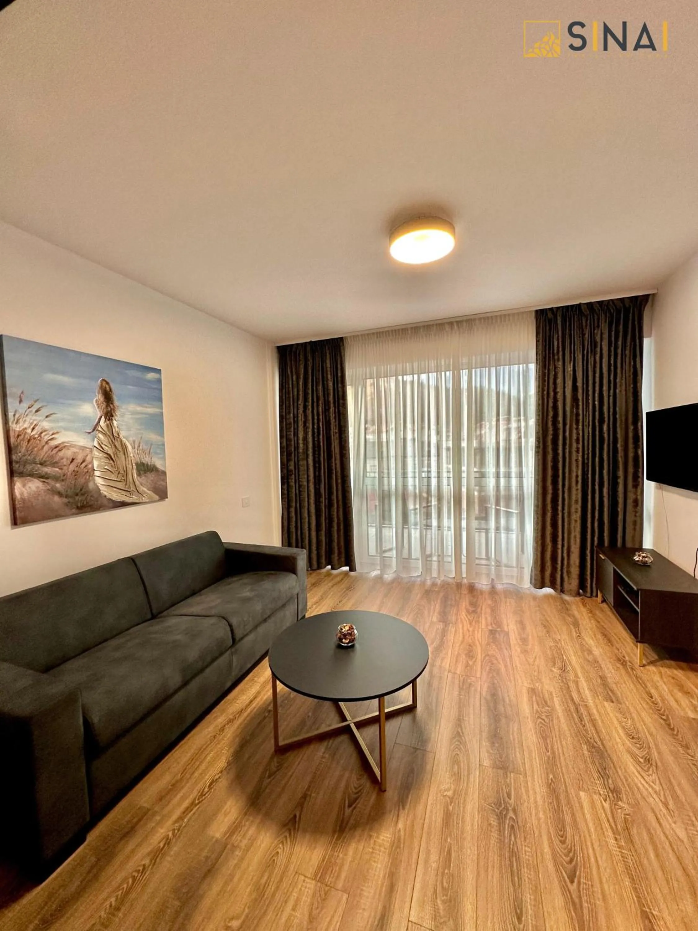 TV and multimedia in SINAI APH Apartments