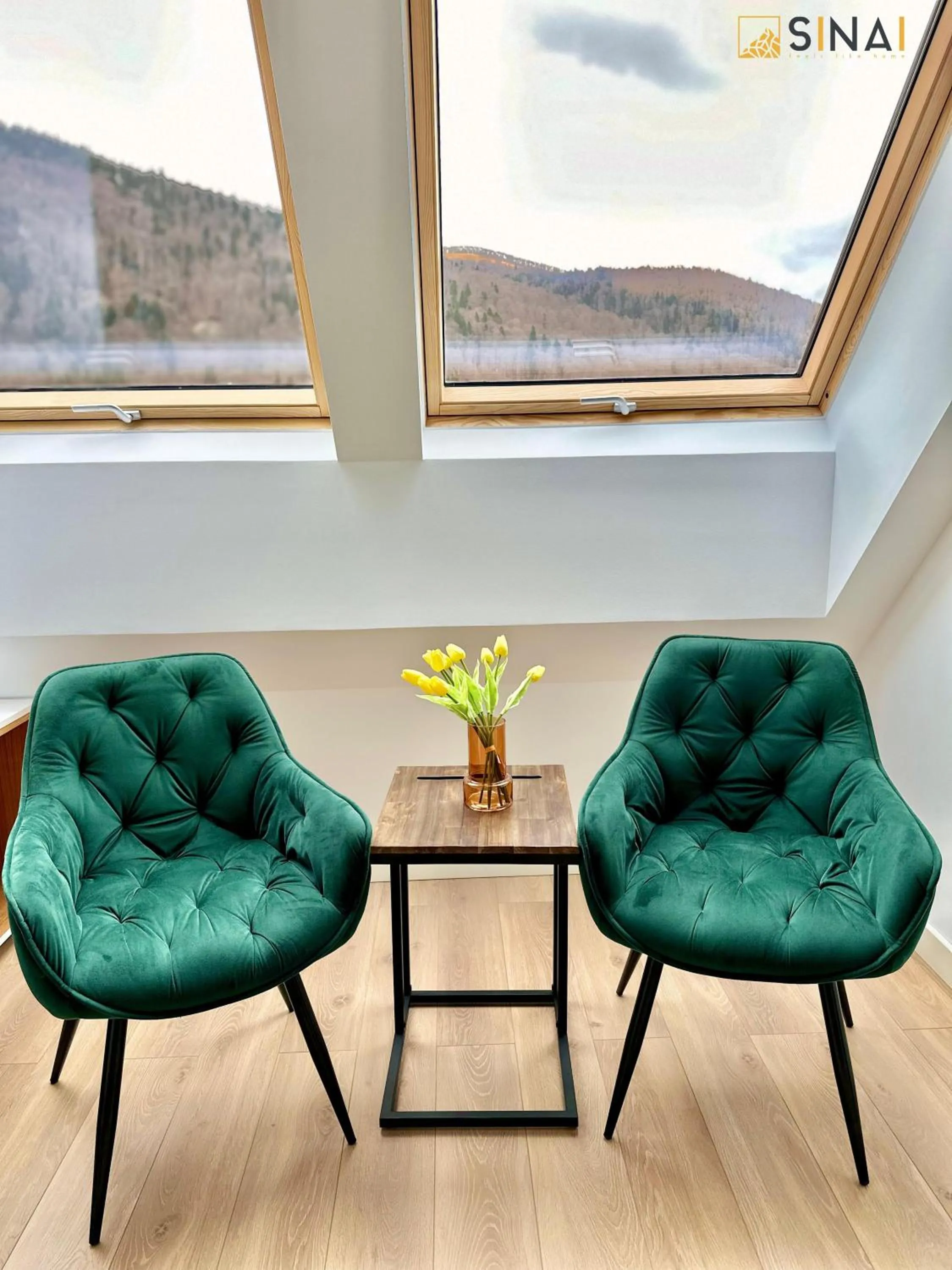 Seating area in SINAI APH Apartments