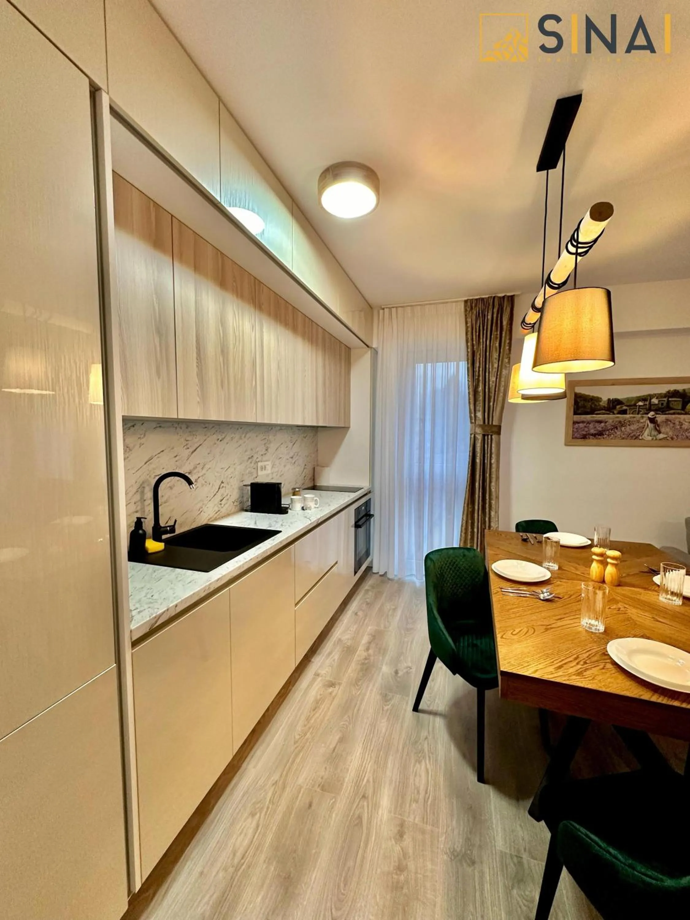 Kitchen or kitchenette in SINAI APH Apartments