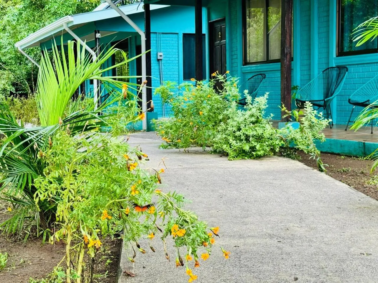 The Secret Eco Lodge