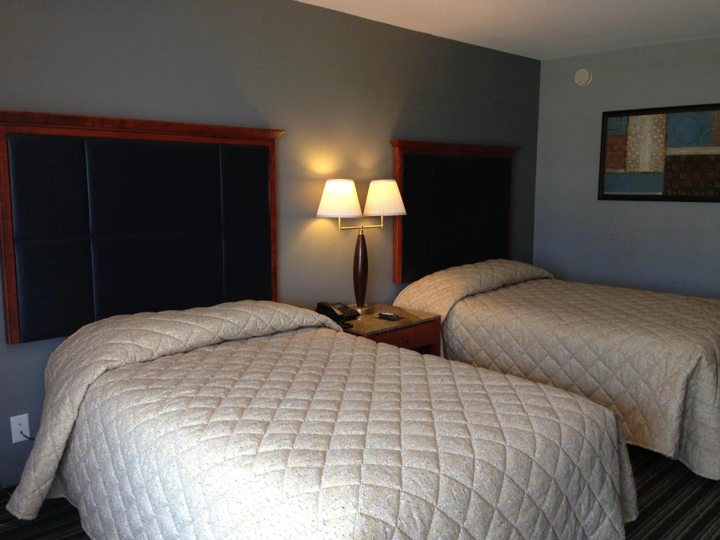 Bed in Safari Inn - Murfreesboro
