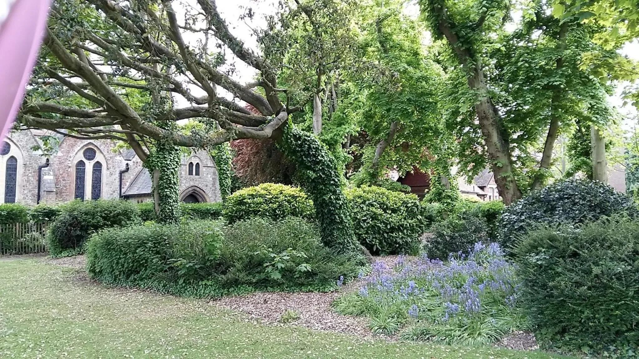 Activities in The Wycliffe