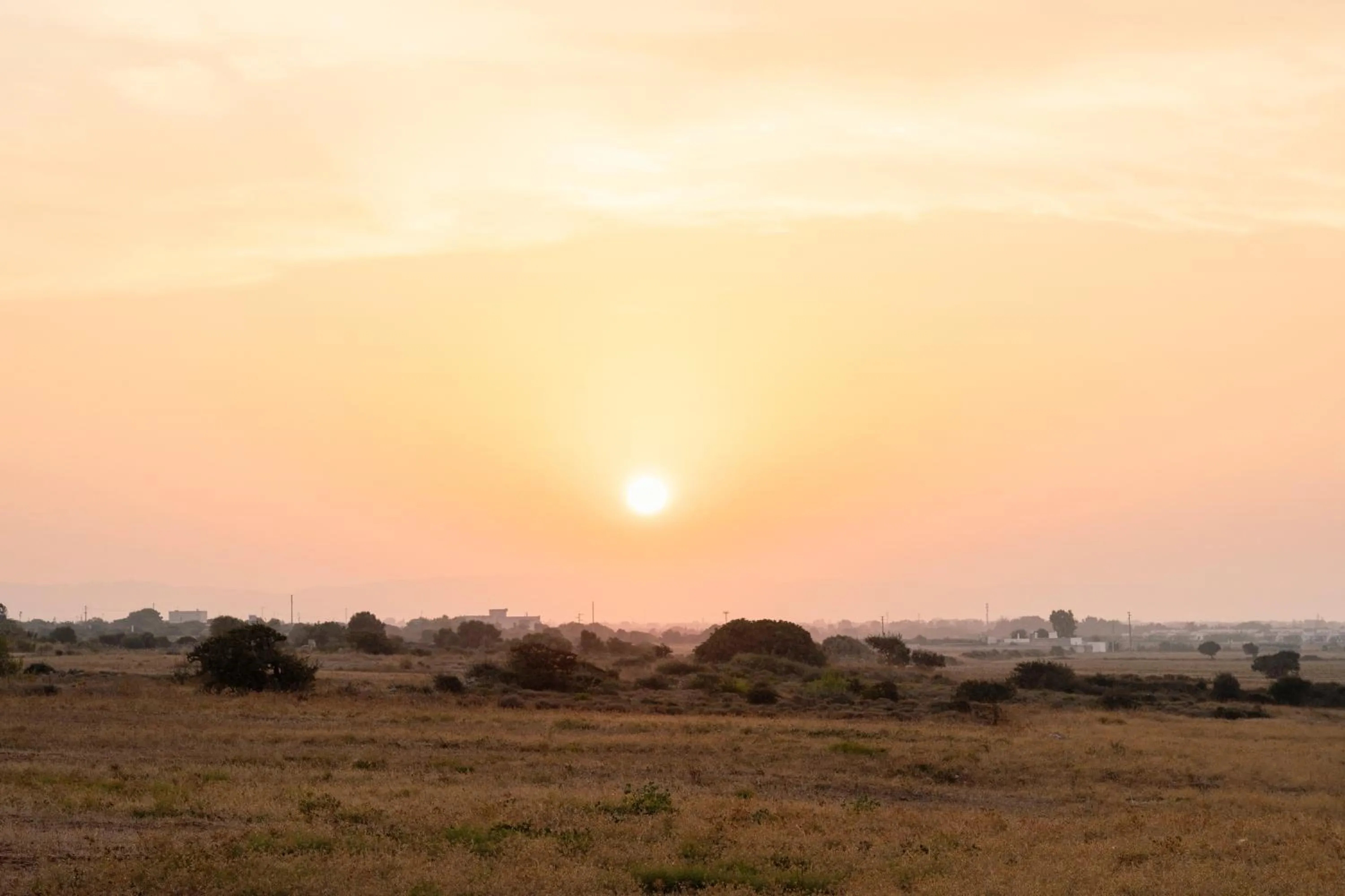 Natural landscape in Masseria Gorgognolo