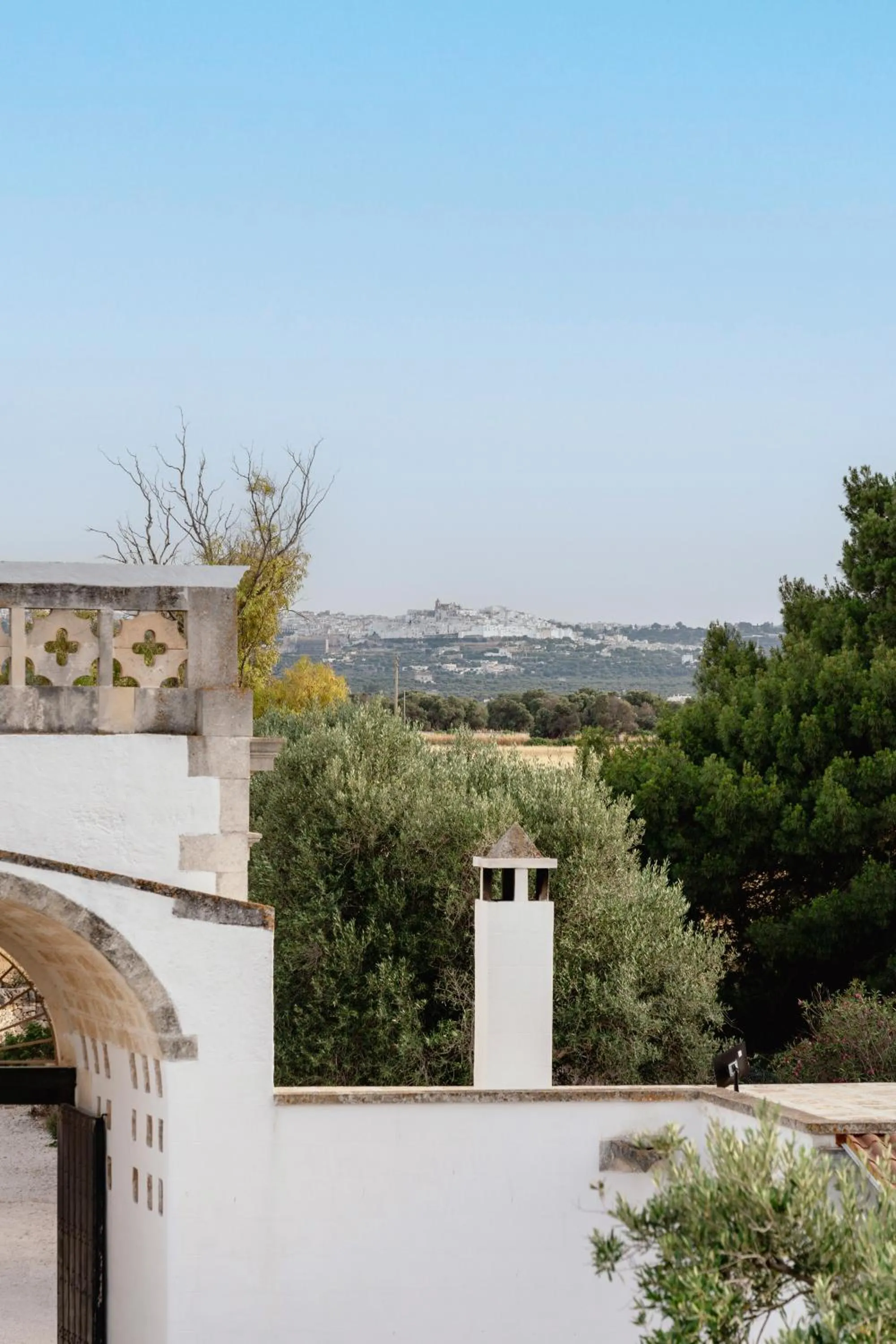 View (from property/room) in Masseria Gorgognolo