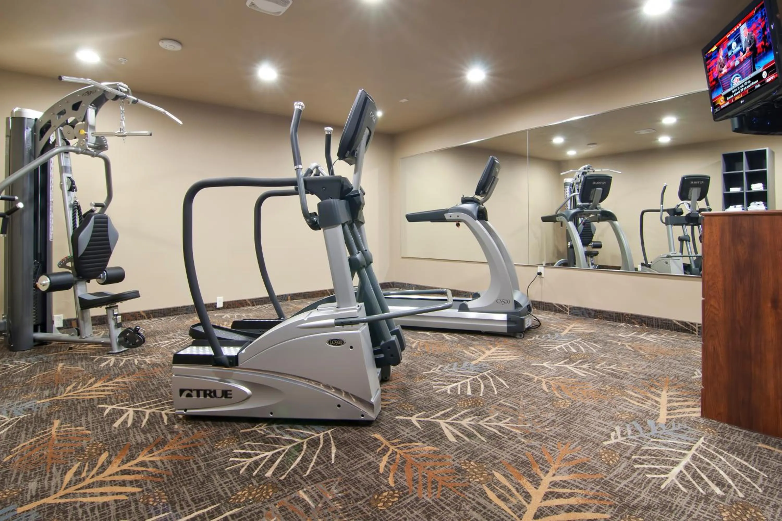 Fitness centre/facilities in The Watford