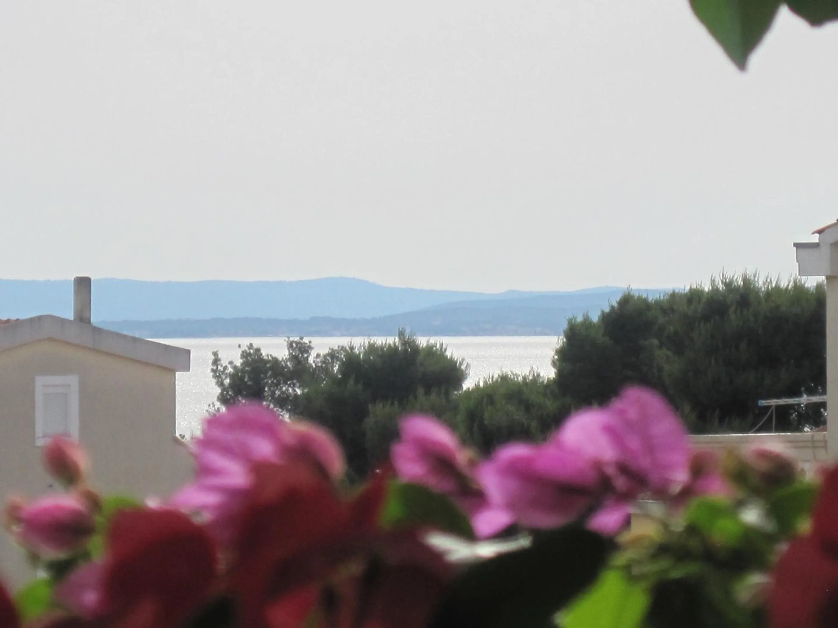 Sea view in Apartments Villa Violet