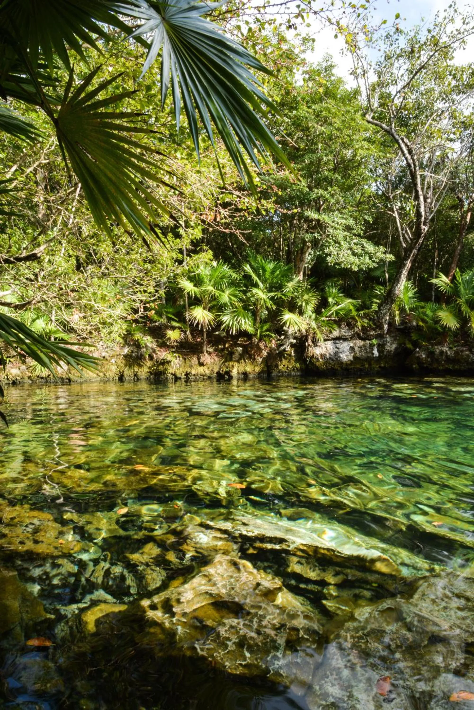 Natural landscape in Caleta Tankah