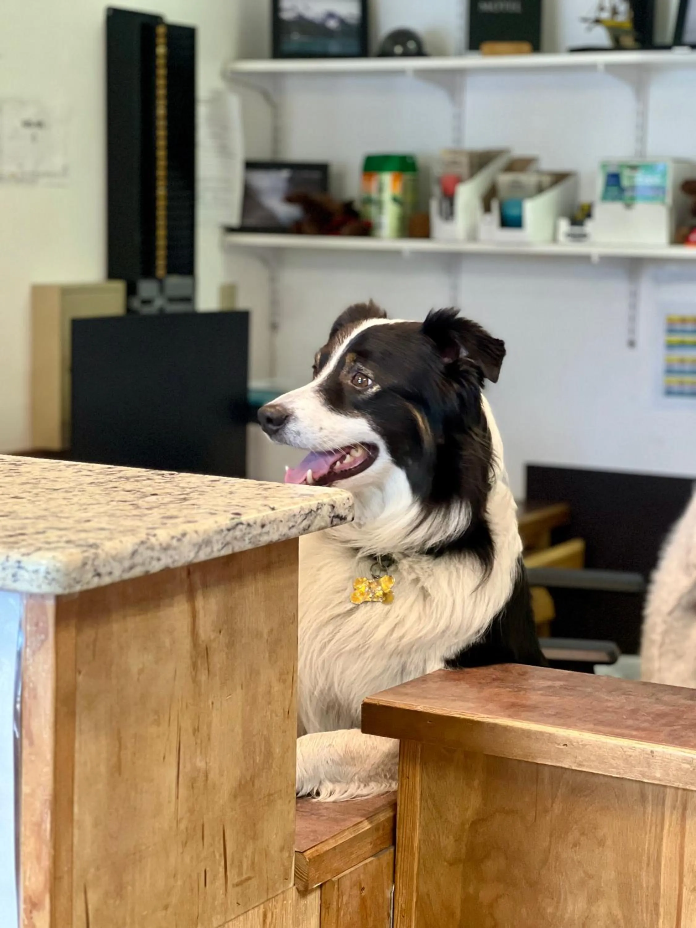 Staff in Marina Motel