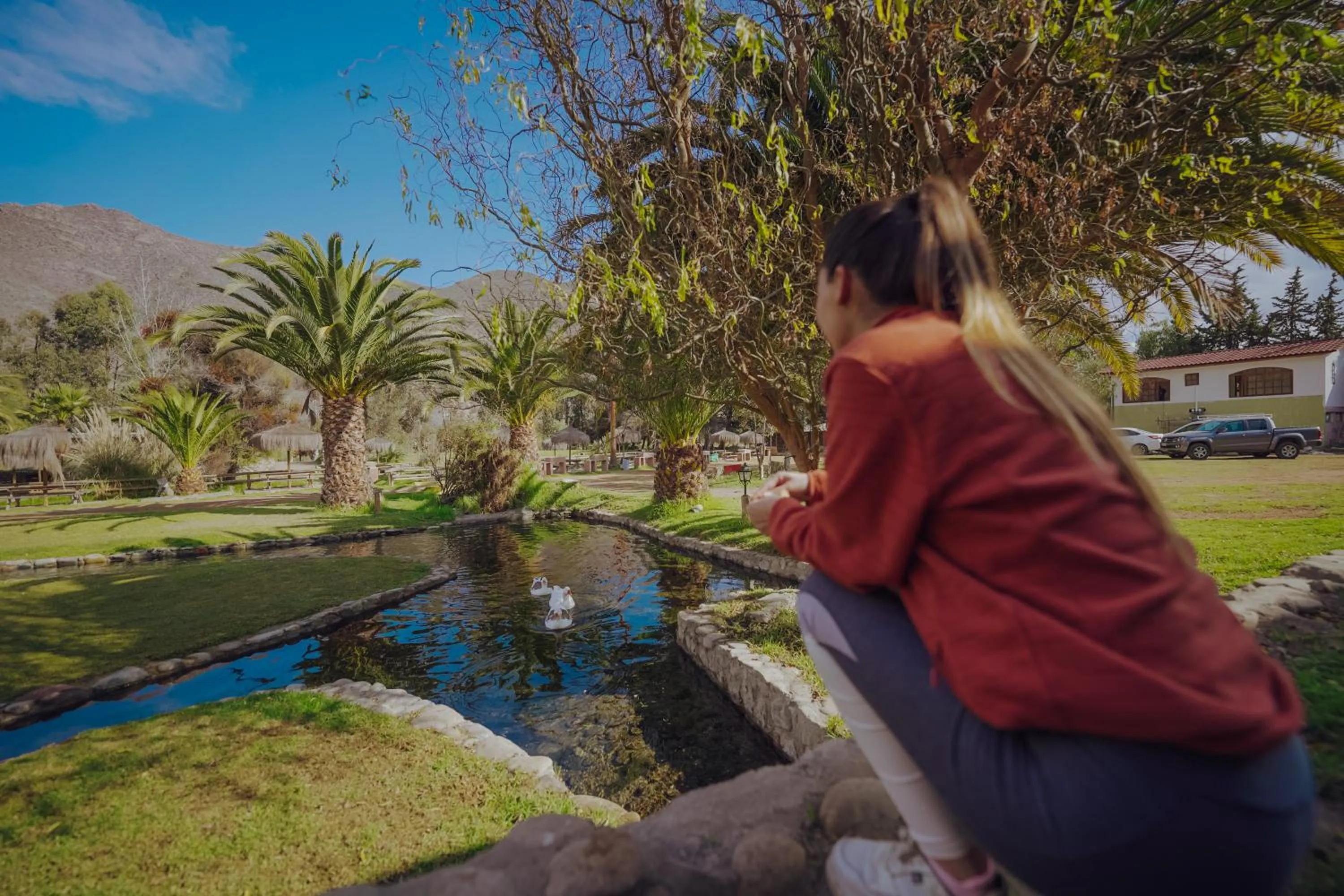 Lake view in Hotel Naturaleza Vertientes de Elqui