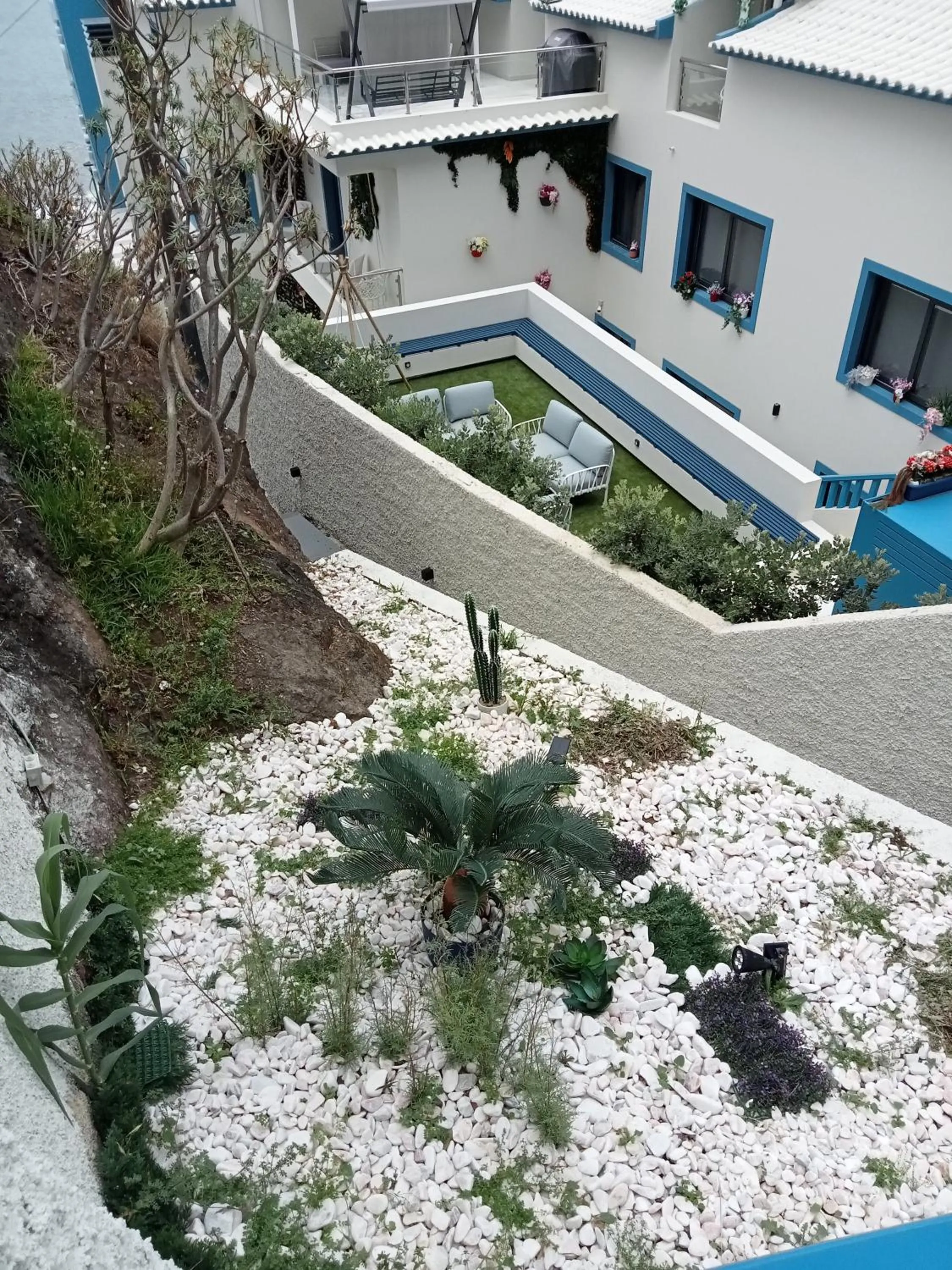 Garden in Mediterrâneo Madeira