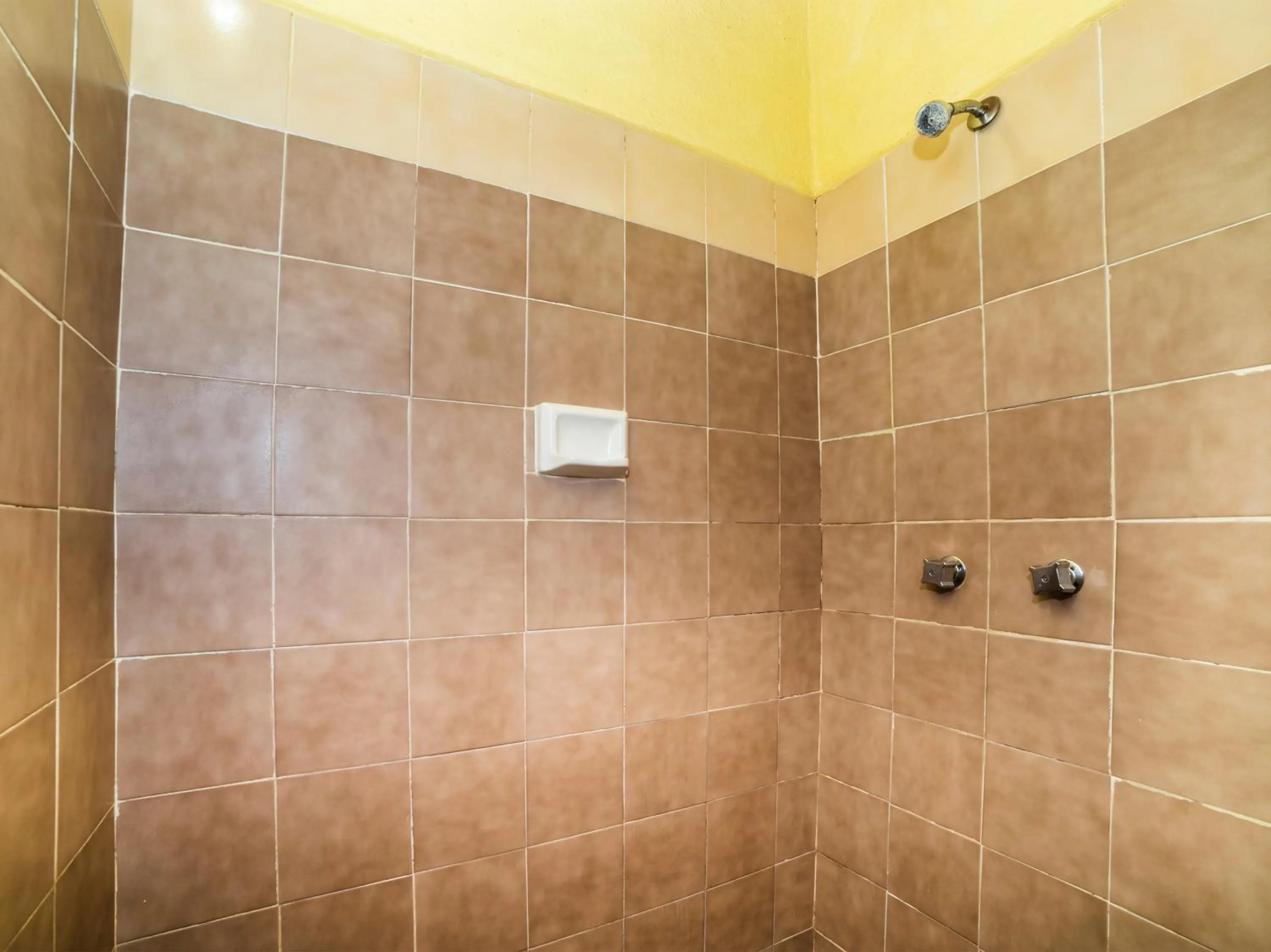 Shower in Posada Real del Valle