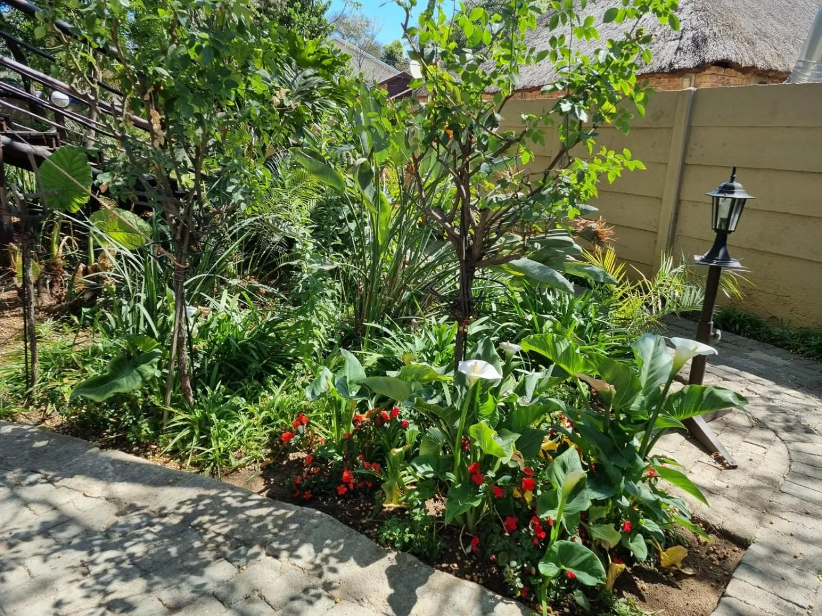 Garden in Emerald Guesthouse