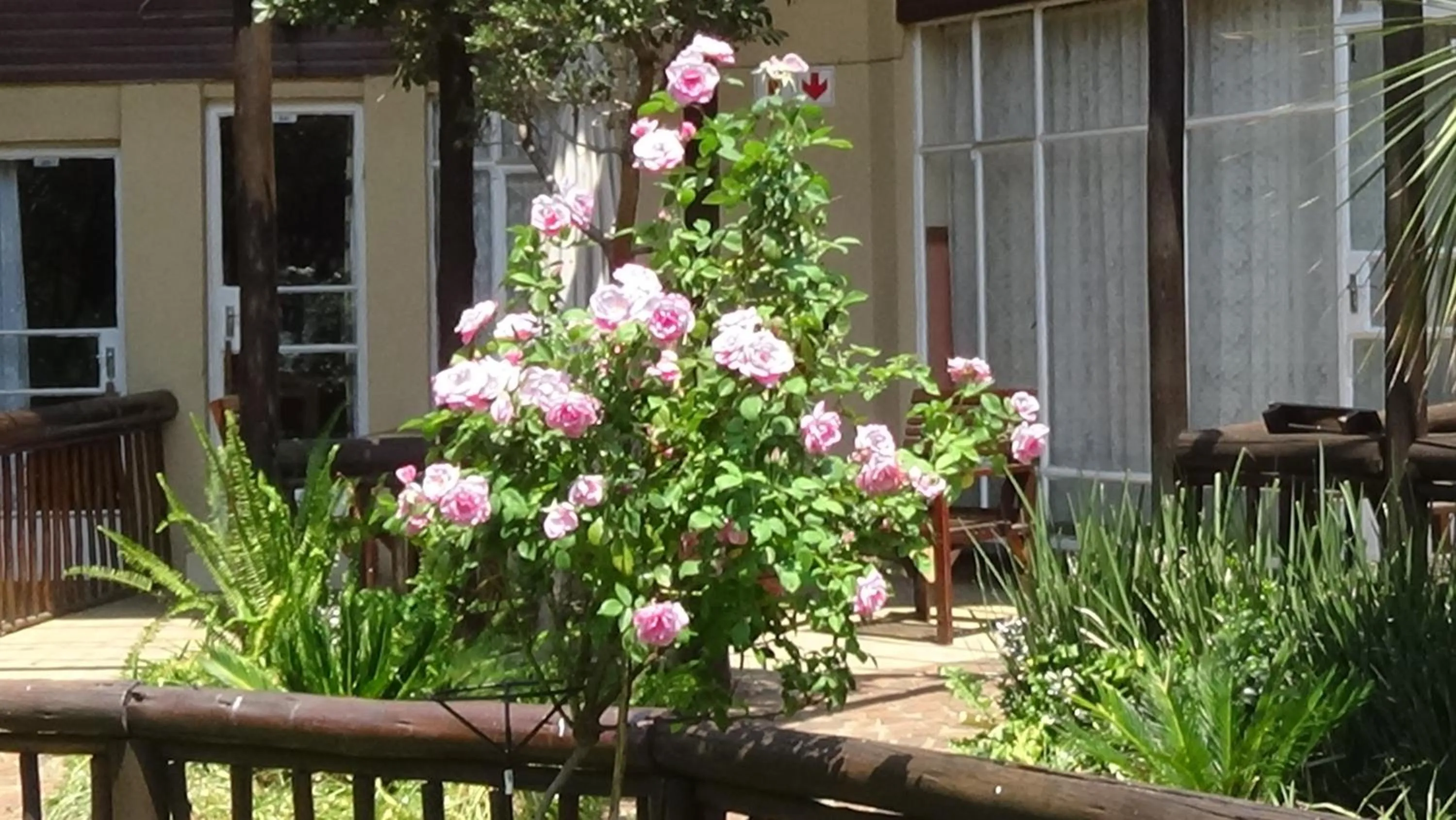 Garden view in Emerald Guesthouse