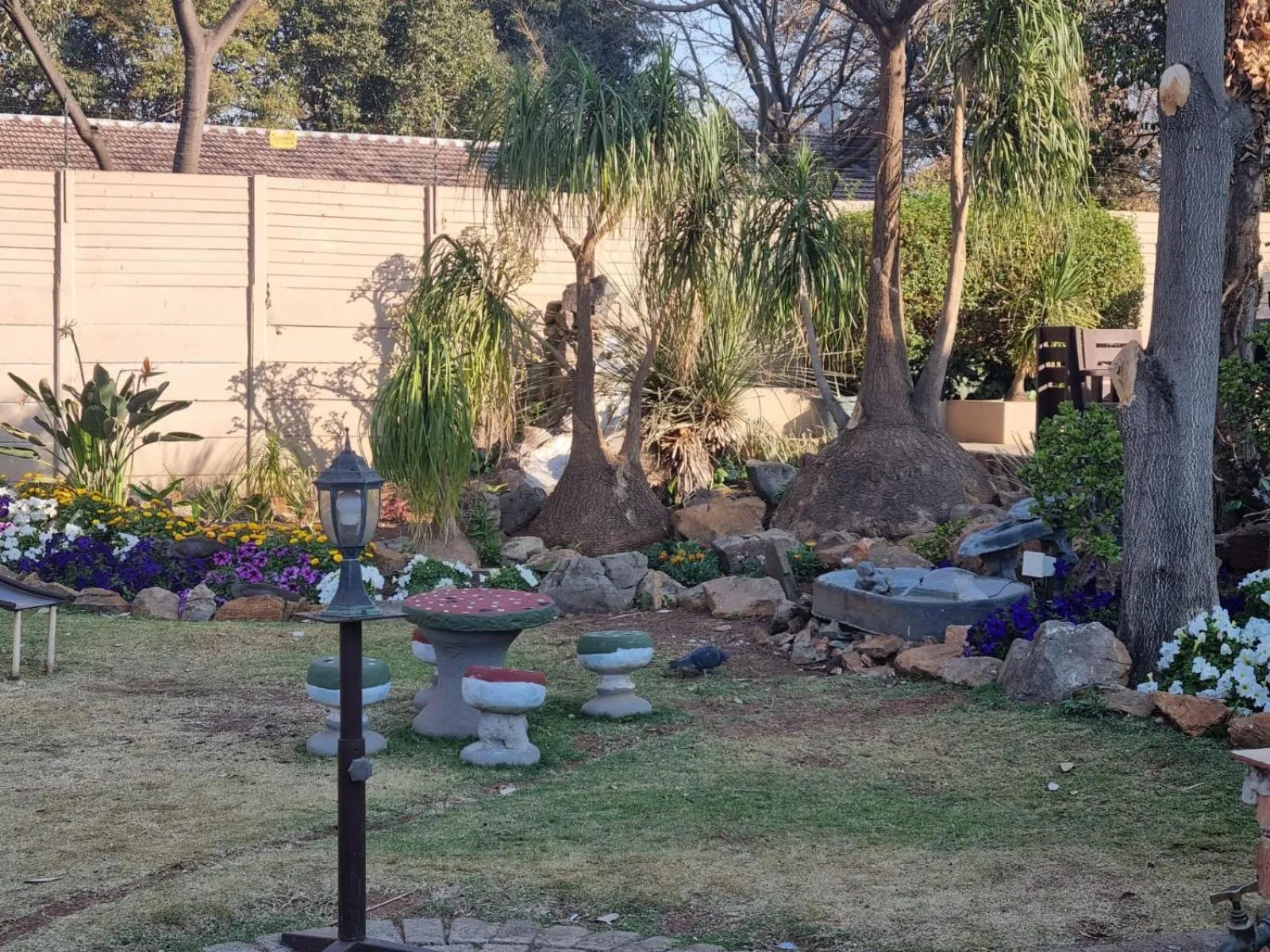 Garden in Emerald Guesthouse