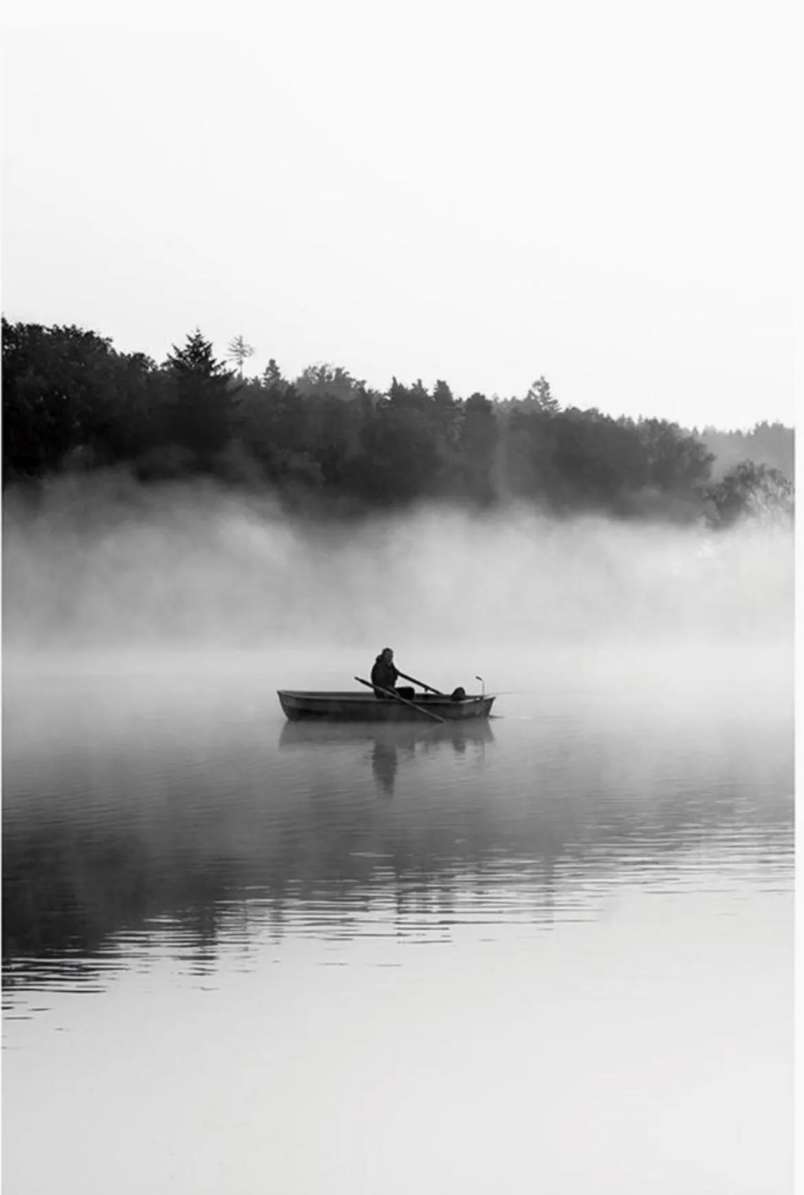 Natural landscape in Cavaedium Guest House