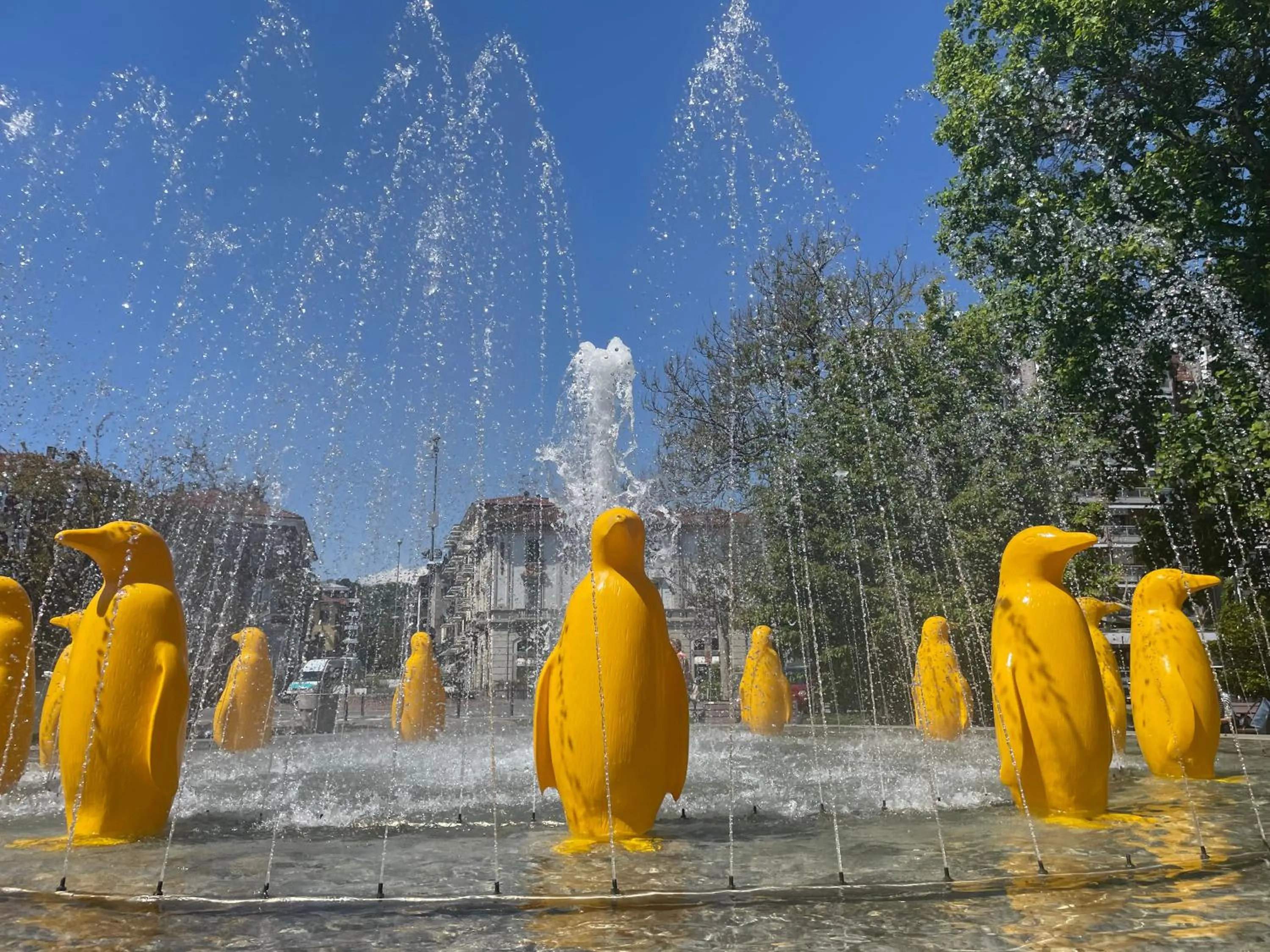 Neighbourhood in Cavaedium Guest House