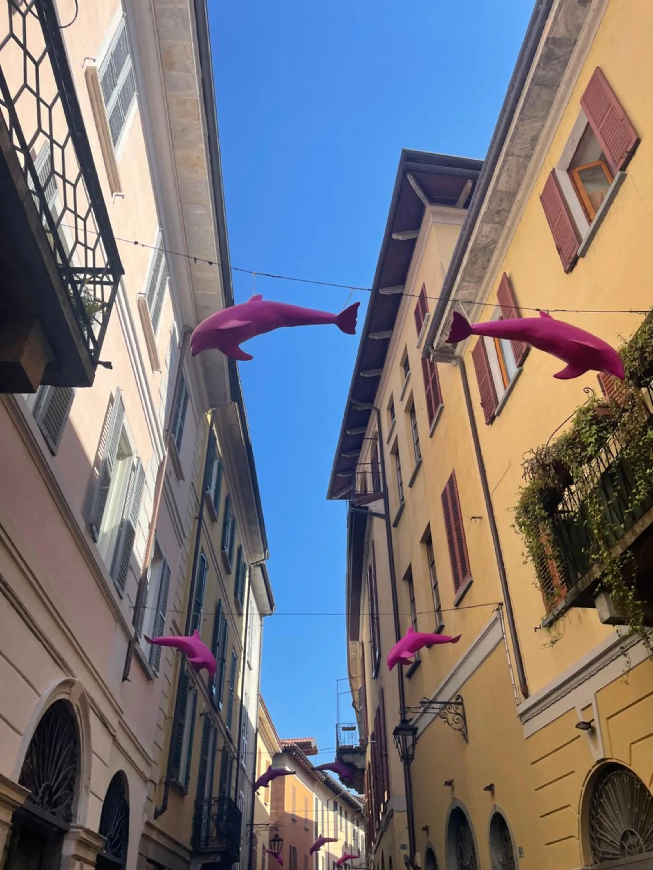 Day in Cavaedium Guest House