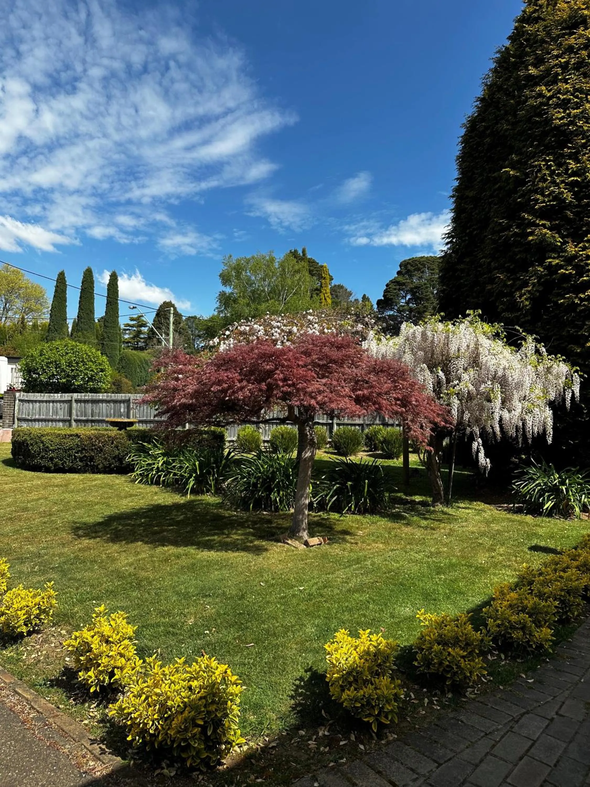 Garden in Oxley Motel