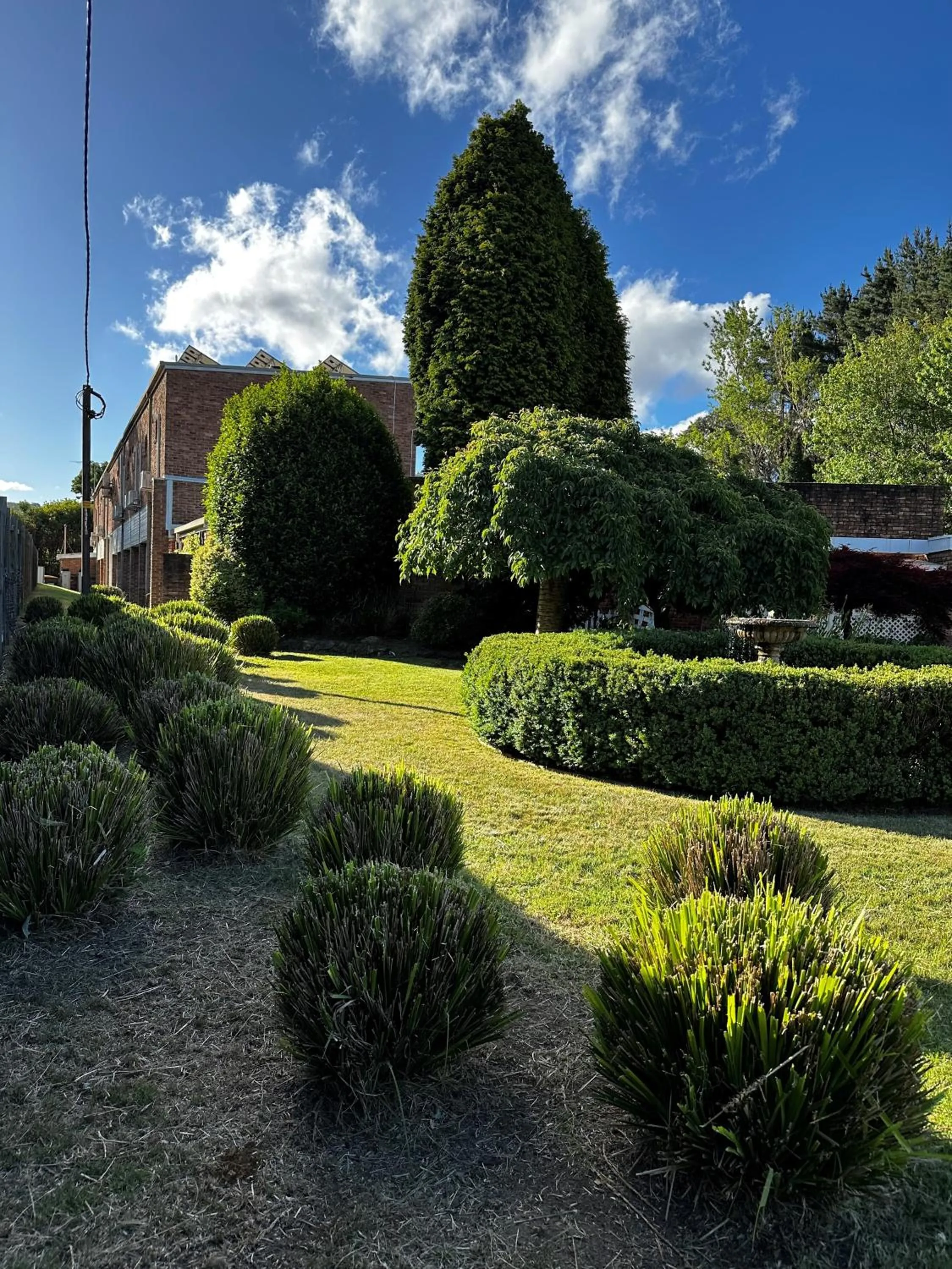 Garden in Oxley Motel