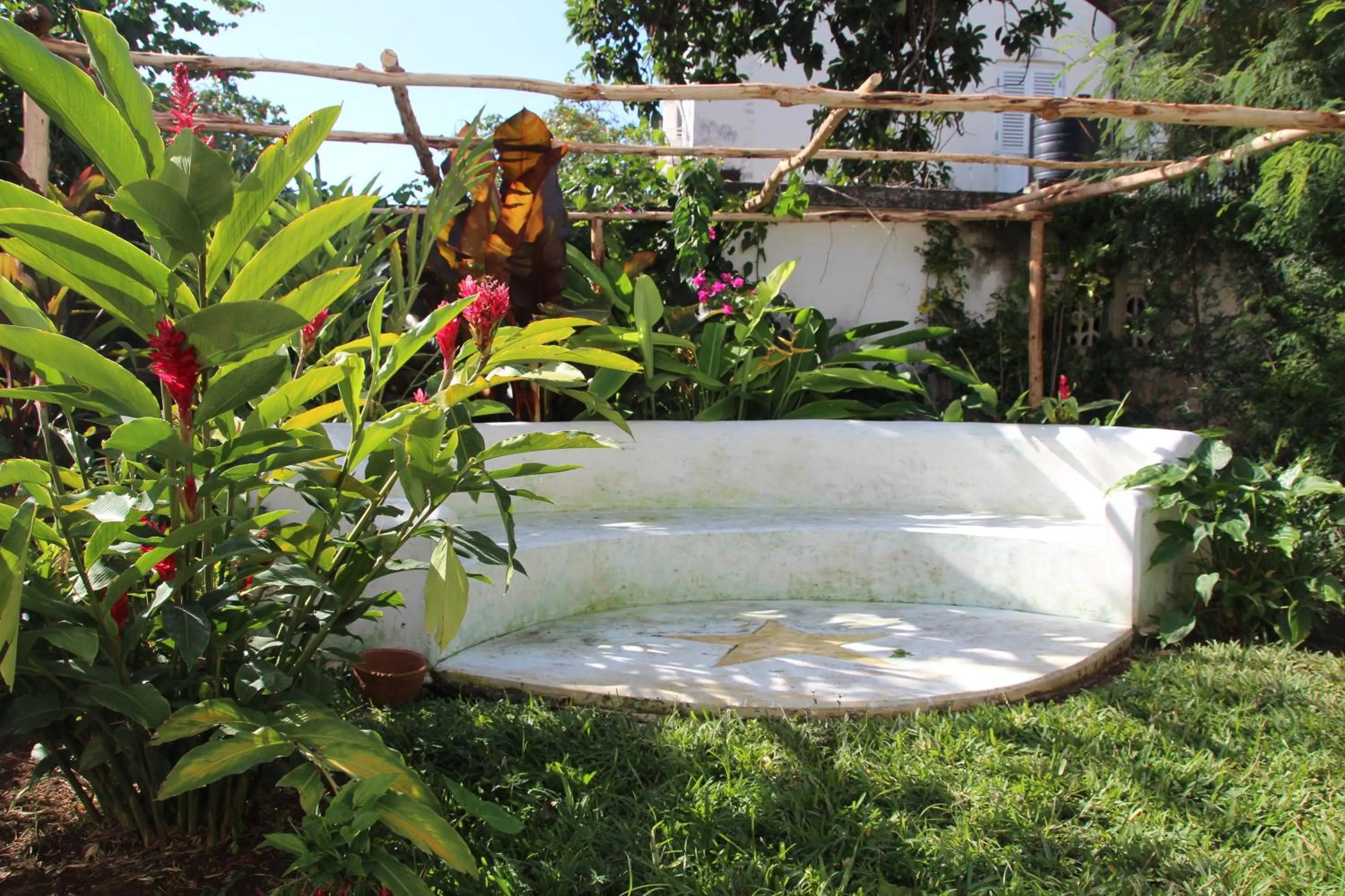 Garden in Hiliki House