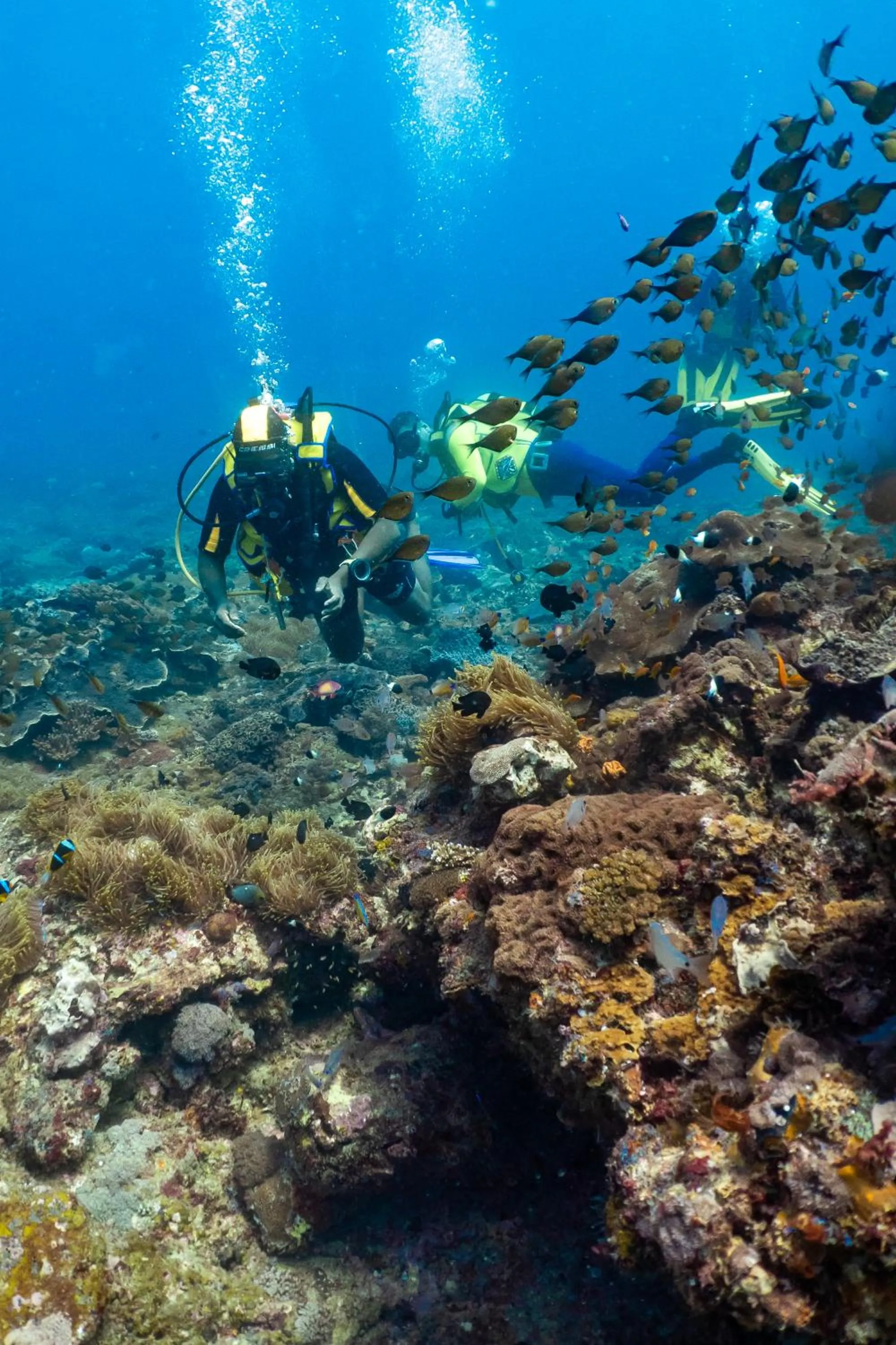 Diving in Chale Island Resort