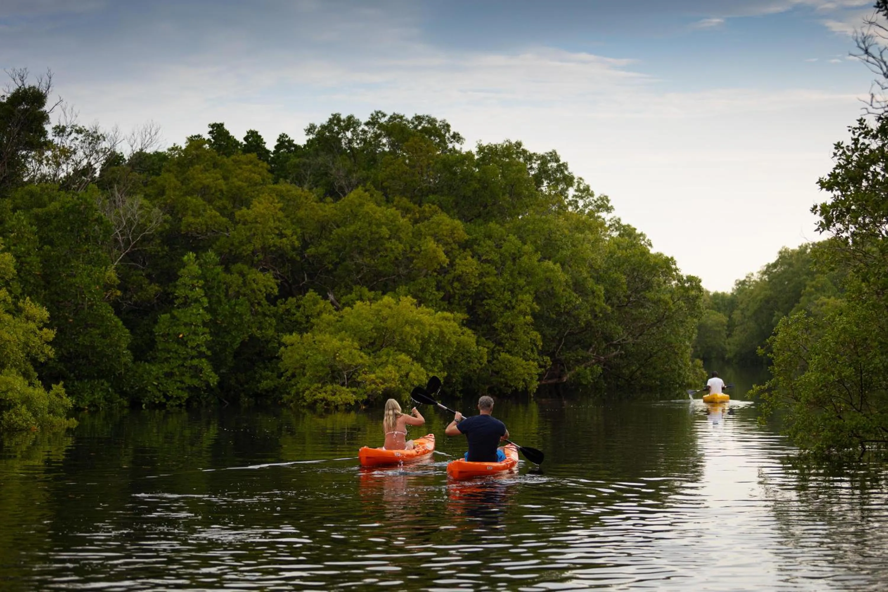 Natural landscape in Chale Island Resort