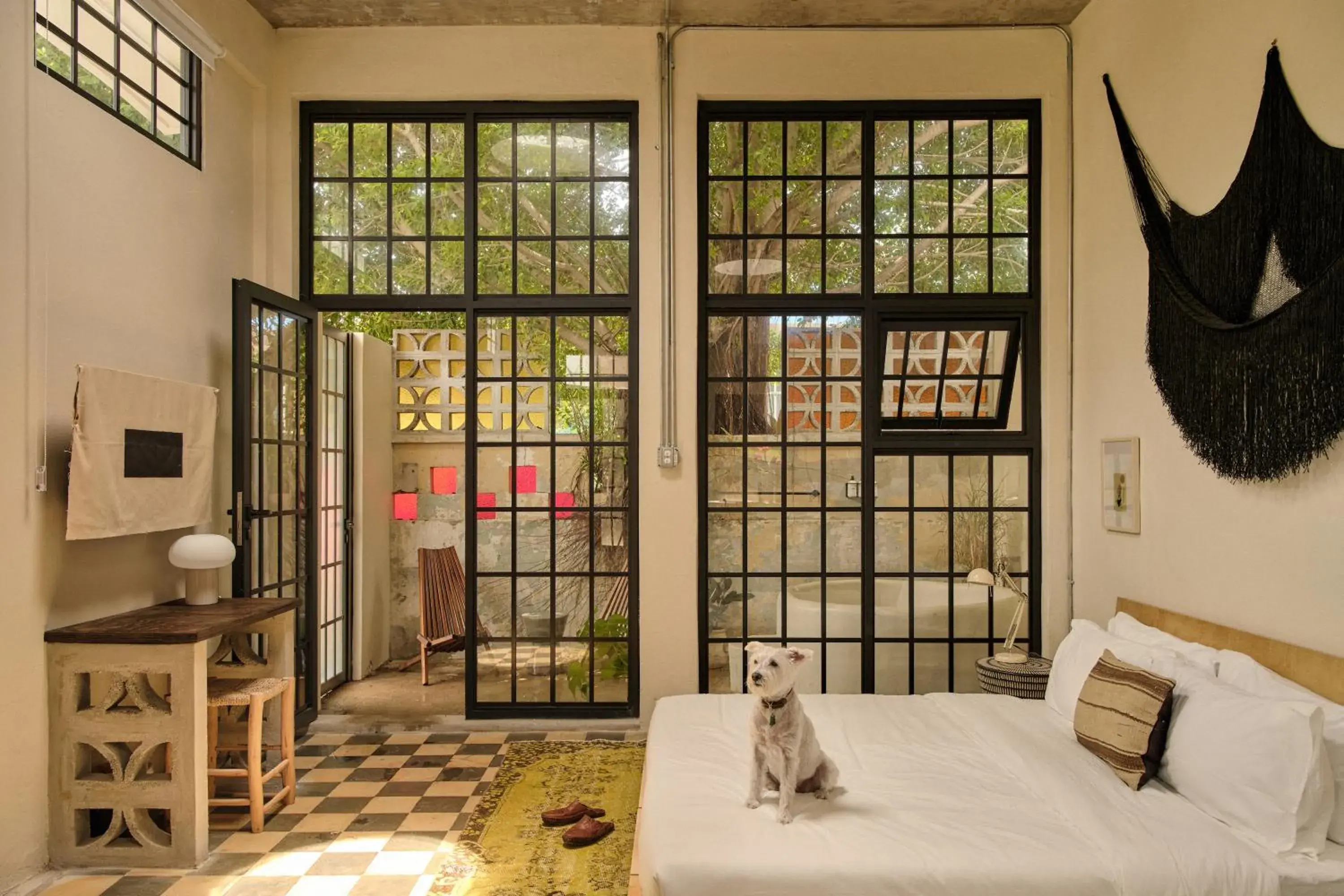 King Studio in PAZ by DW King Studio in PAZ by DW