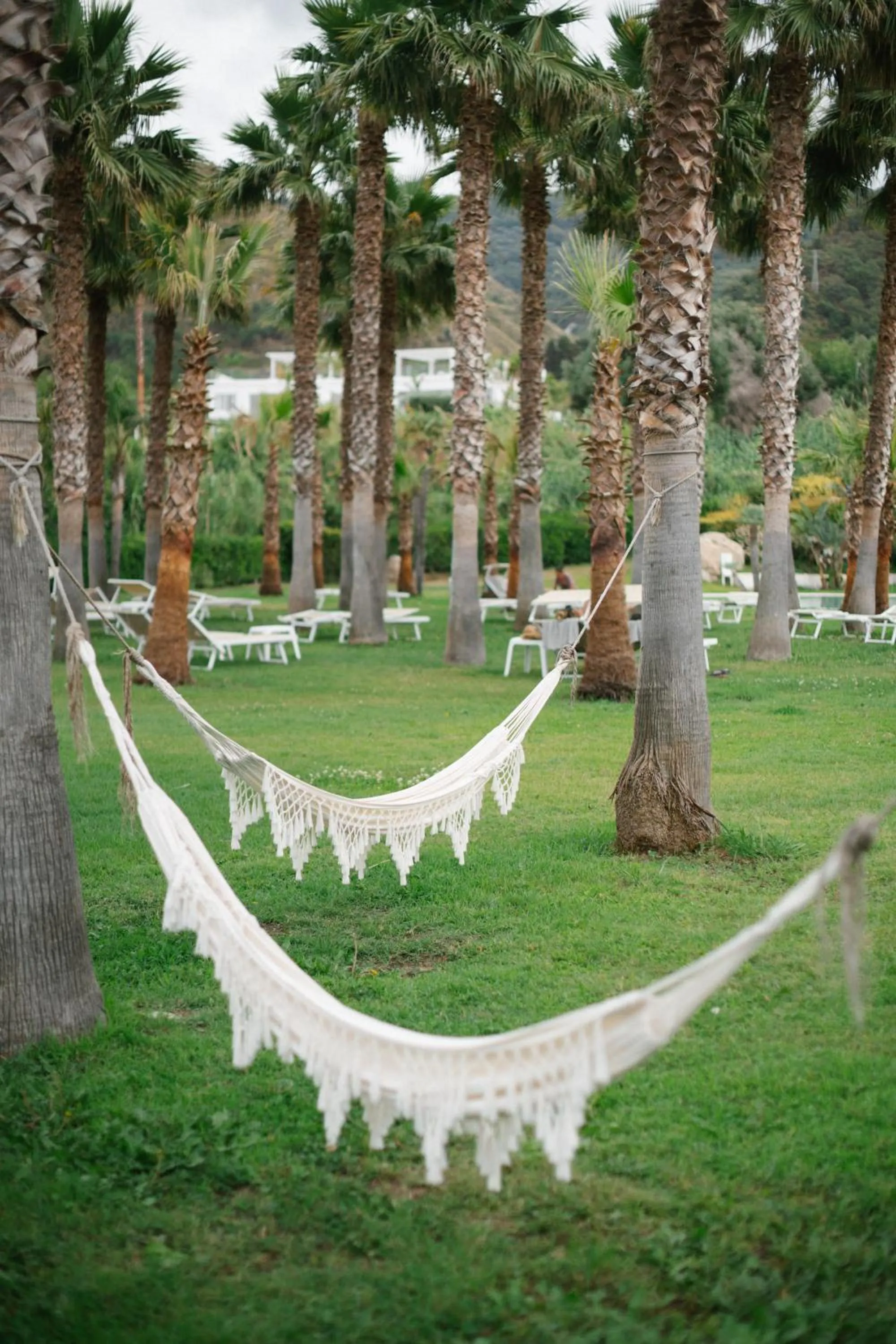 Natural landscape in Infinity Resort Tropea