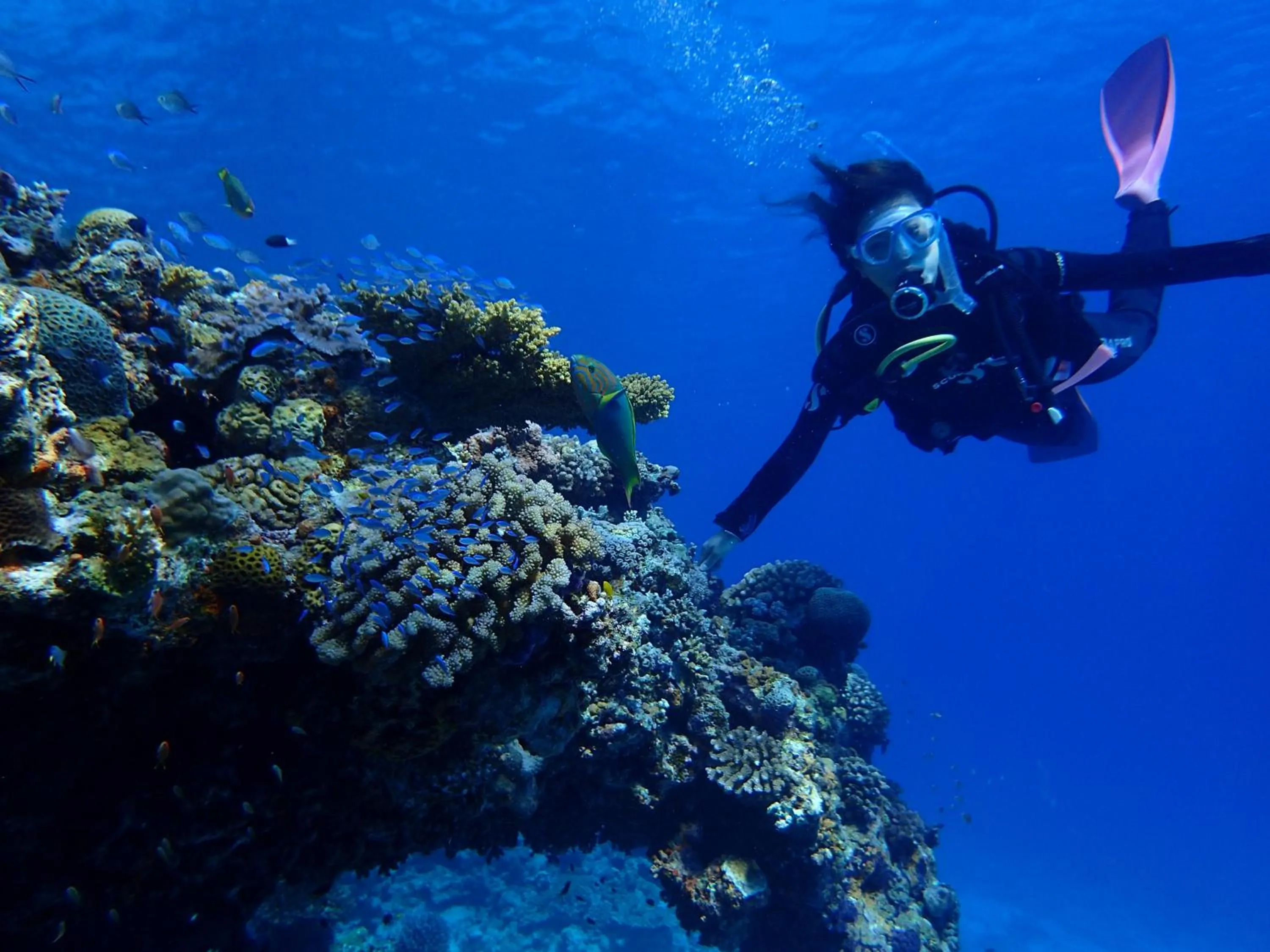 Diving in Best Western Okinawa Kouki Beach