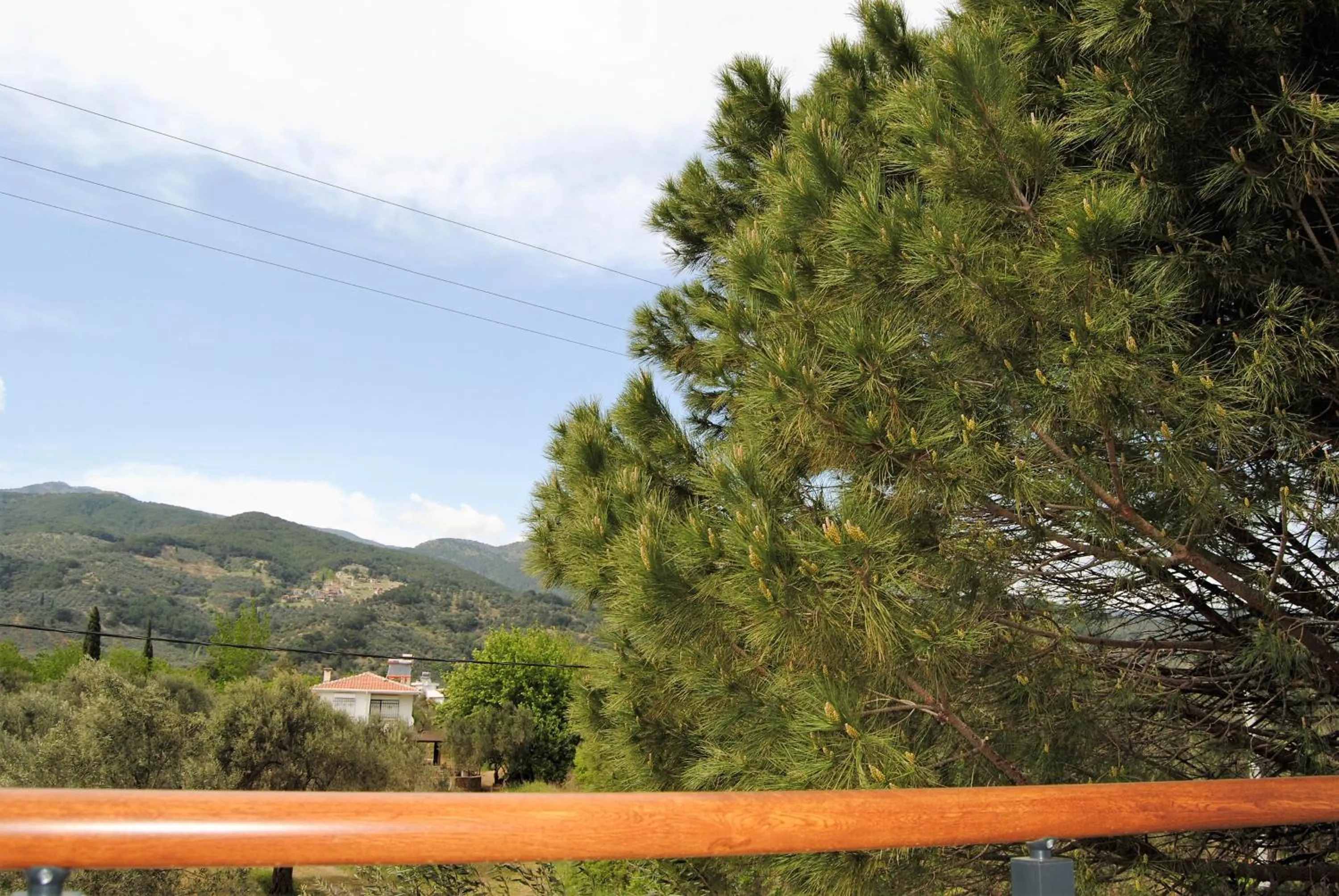 Natural landscape in BEYAZ KONAK Güre