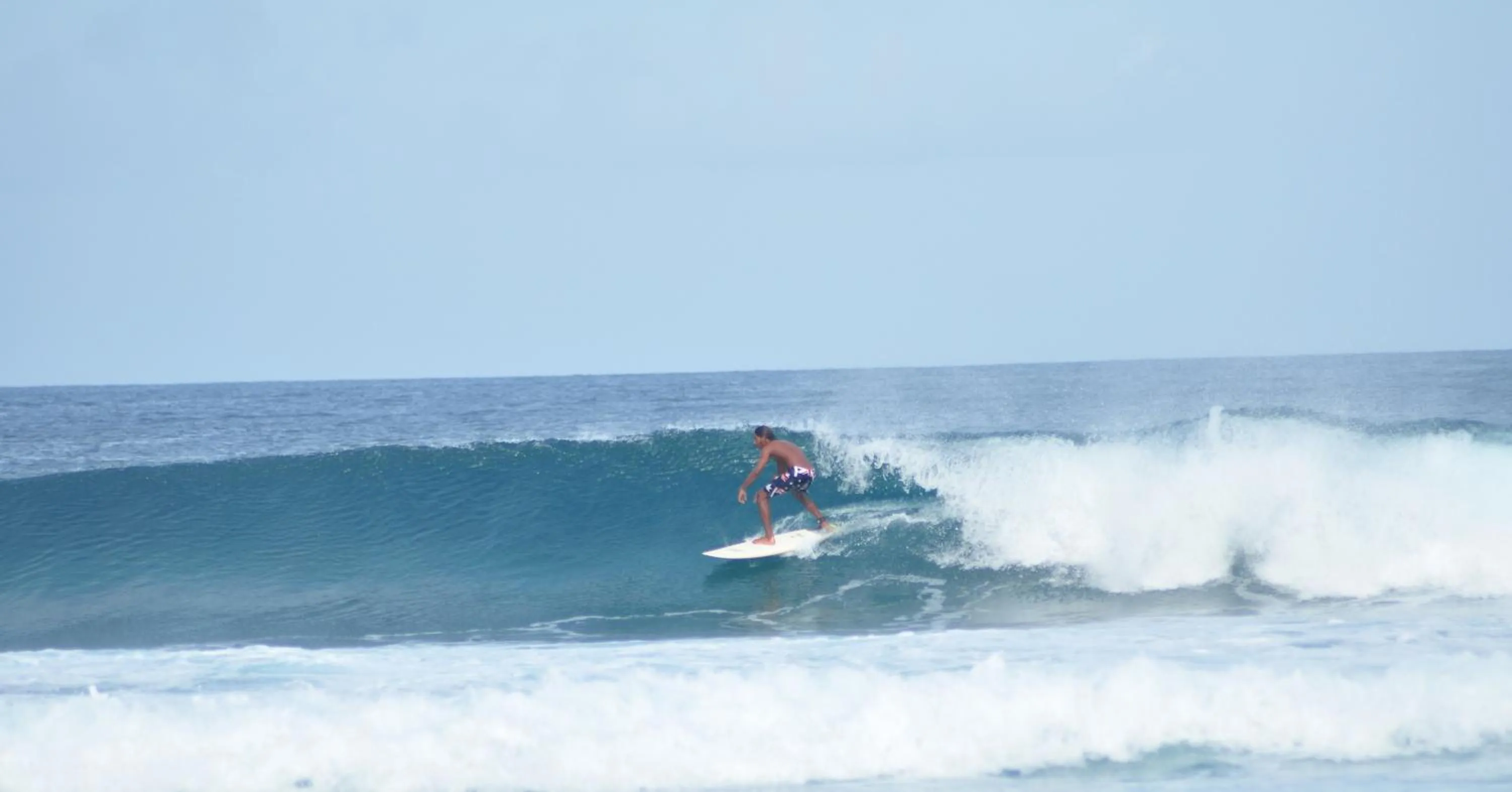 Other in Jail Break Surf Inn