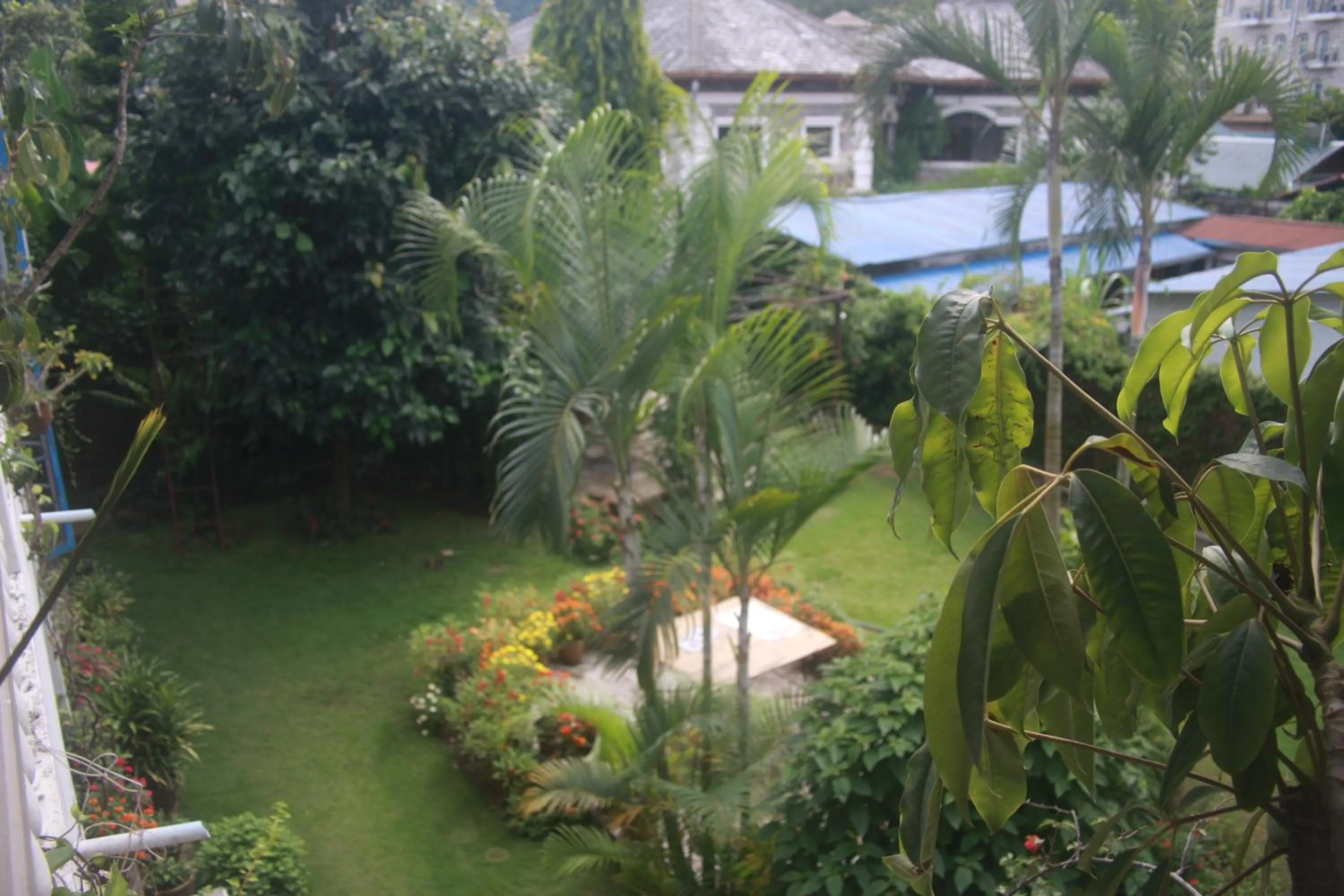 Spring in Vagabond Guest House