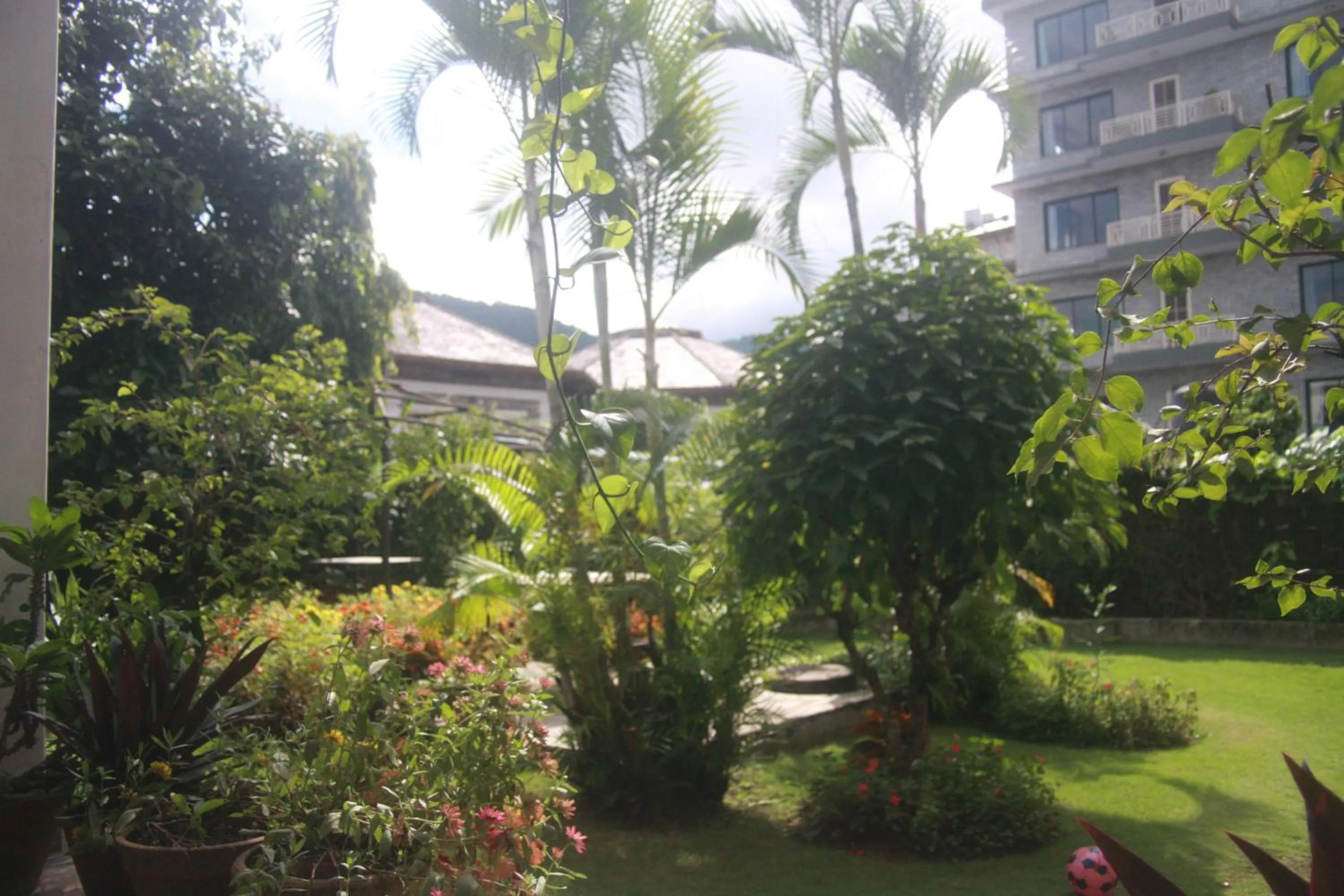 Day in Vagabond Guest House