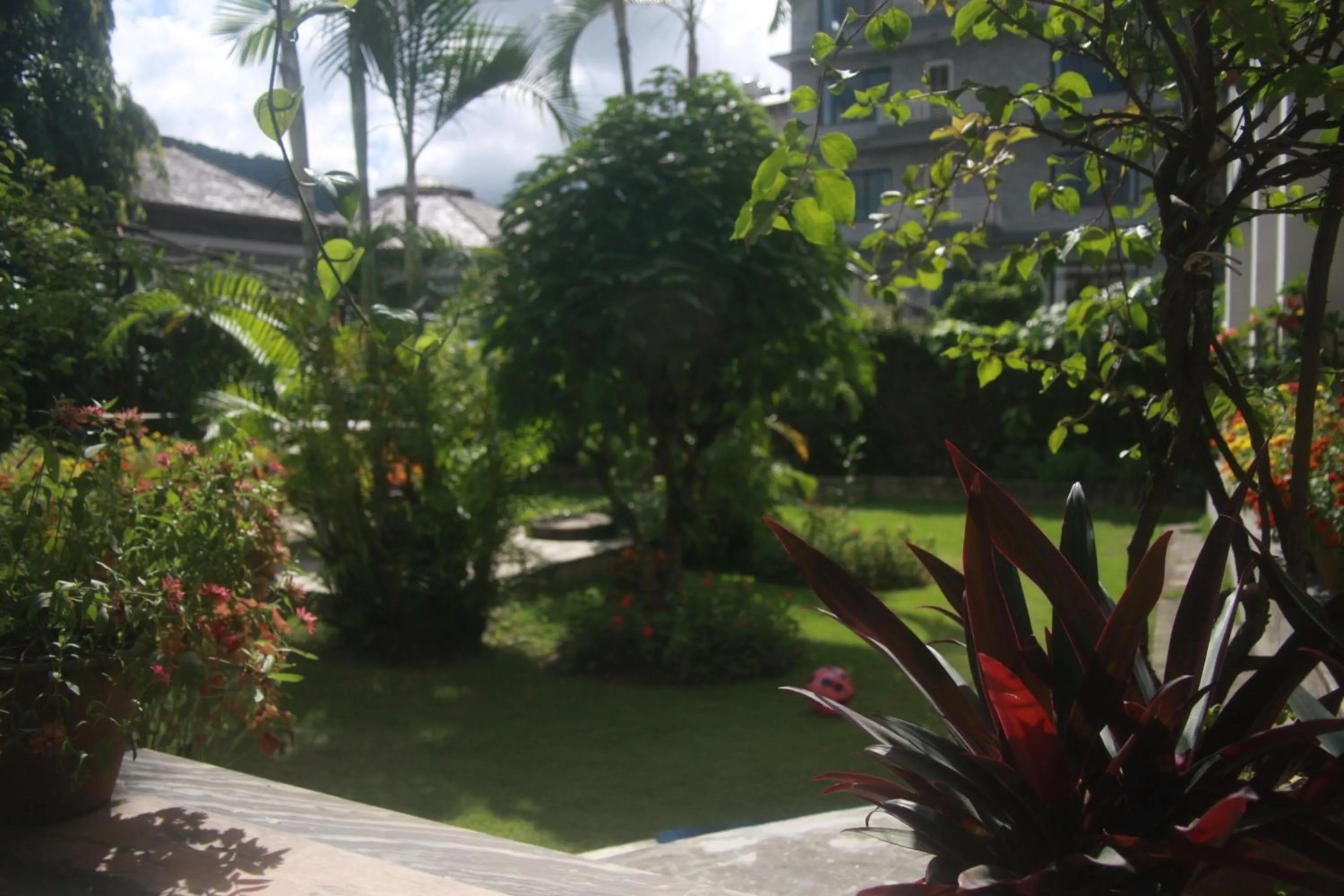 Spring in Vagabond Guest House