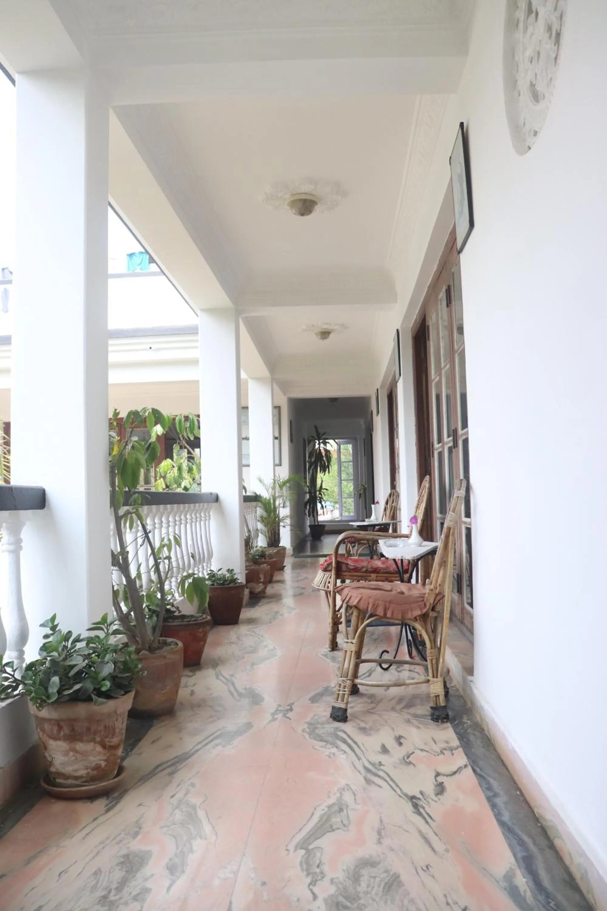 Balcony/Terrace in Vagabond Guest House