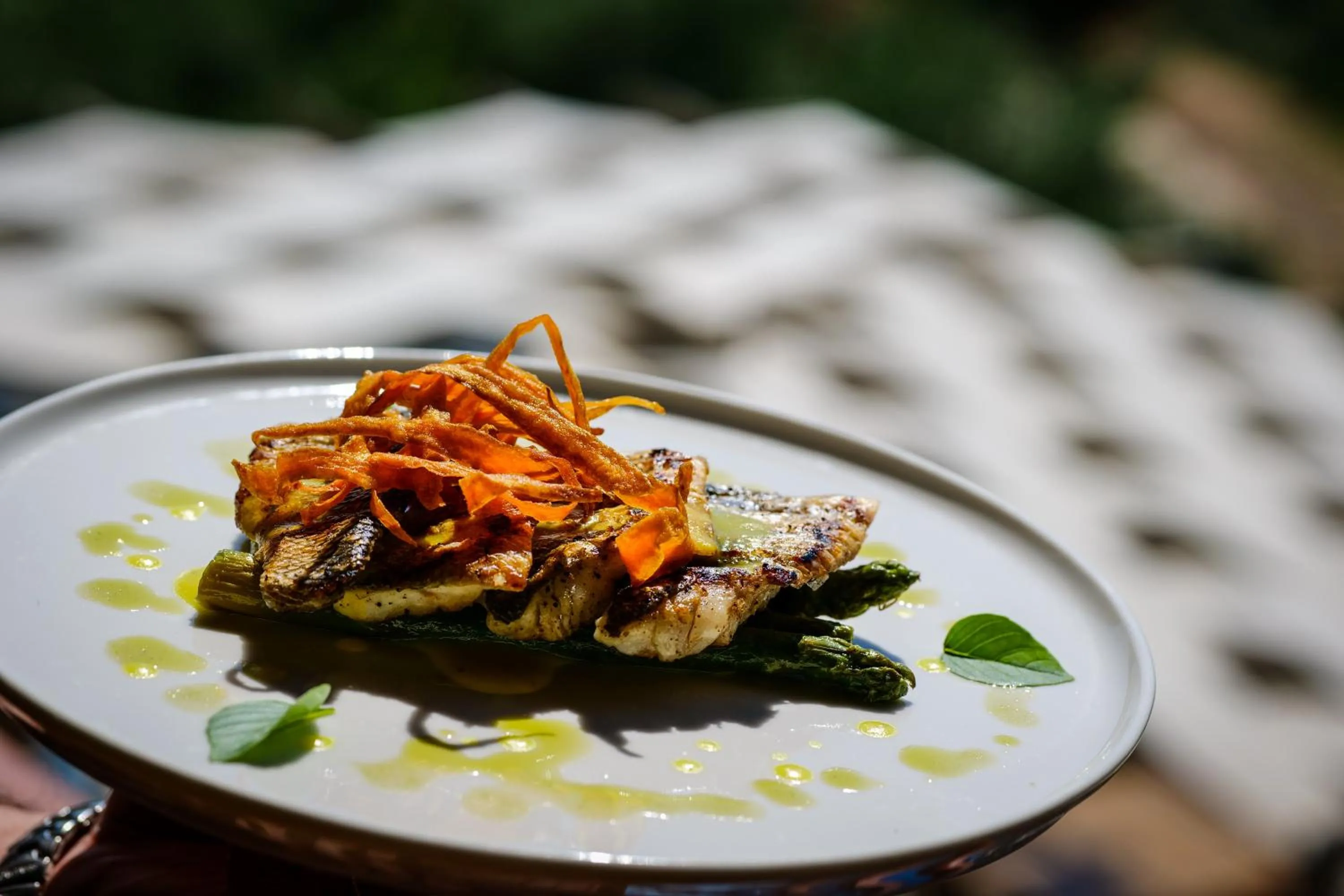 Restaurant/places to eat in Hotel Panorama