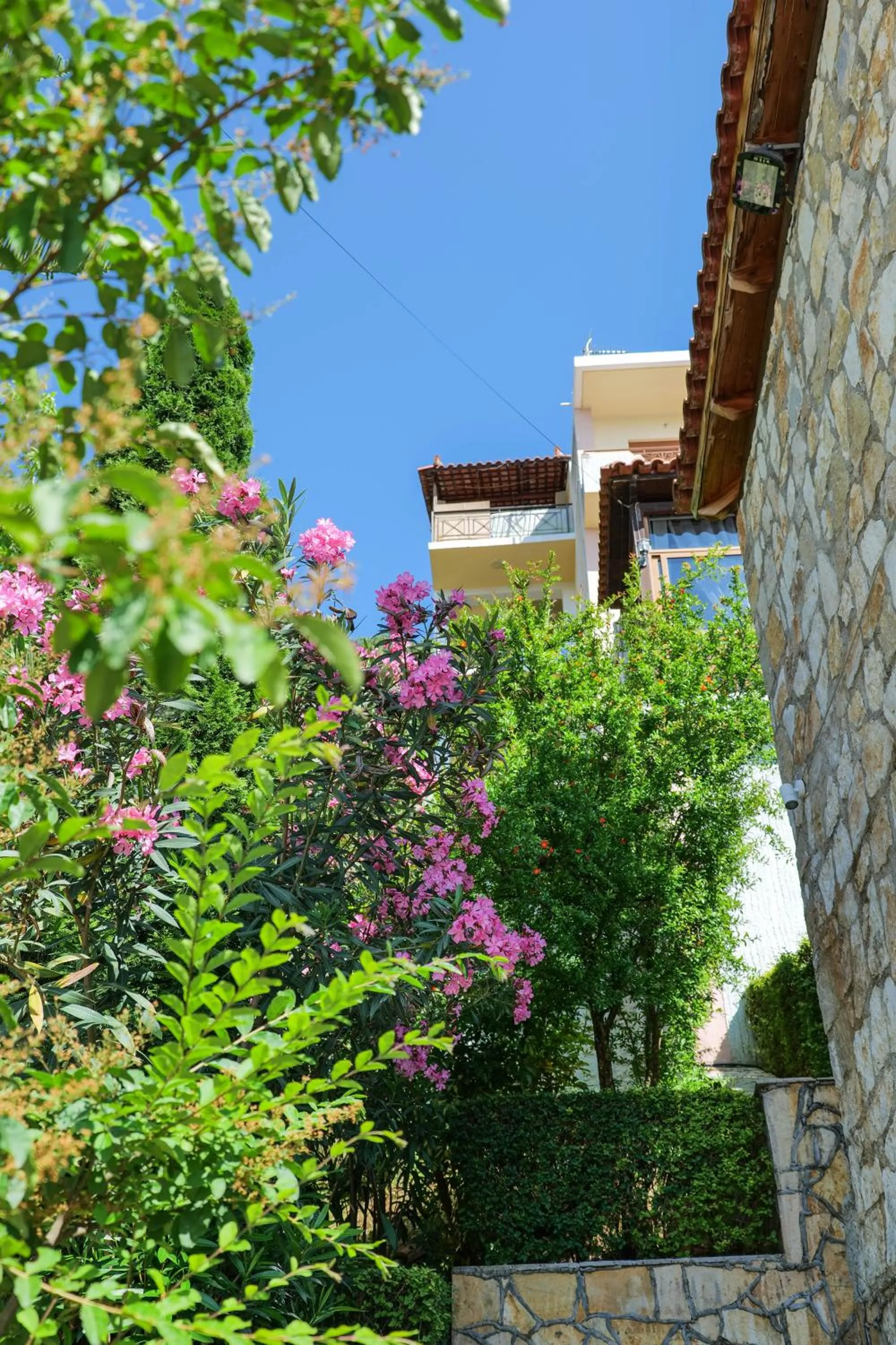 Property building in Hotel Panorama