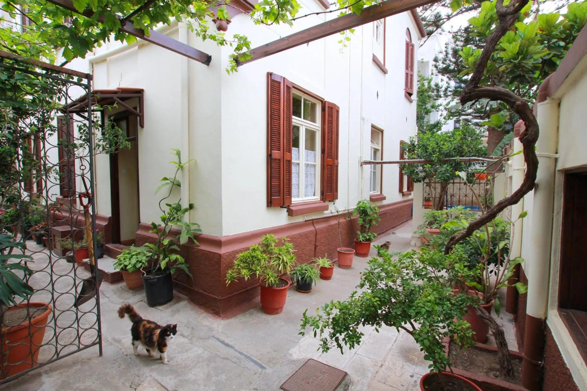 Facade/entrance in Hotel Anastasia