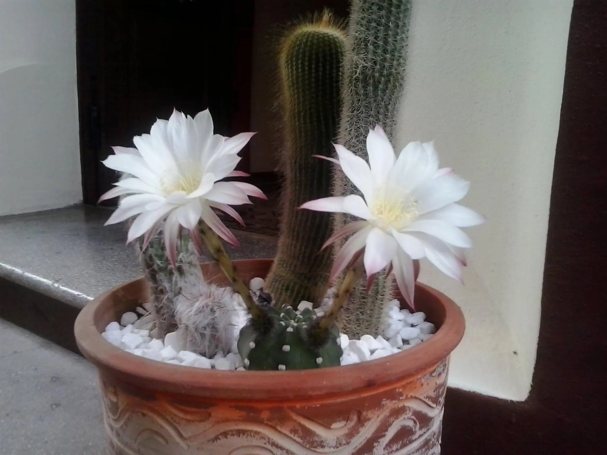 Decorative detail in Hotel Anastasia