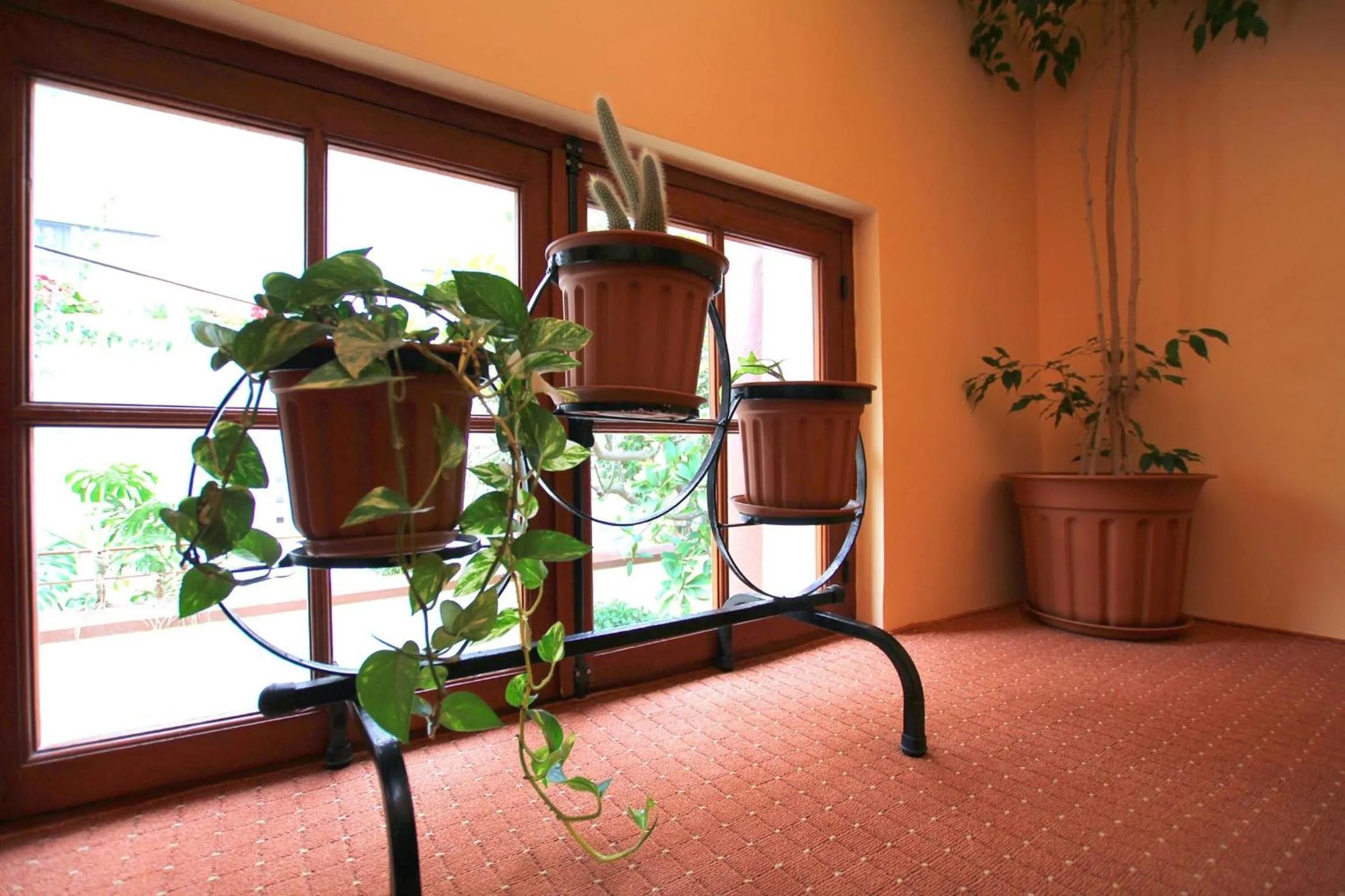 Decorative detail in Hotel Anastasia