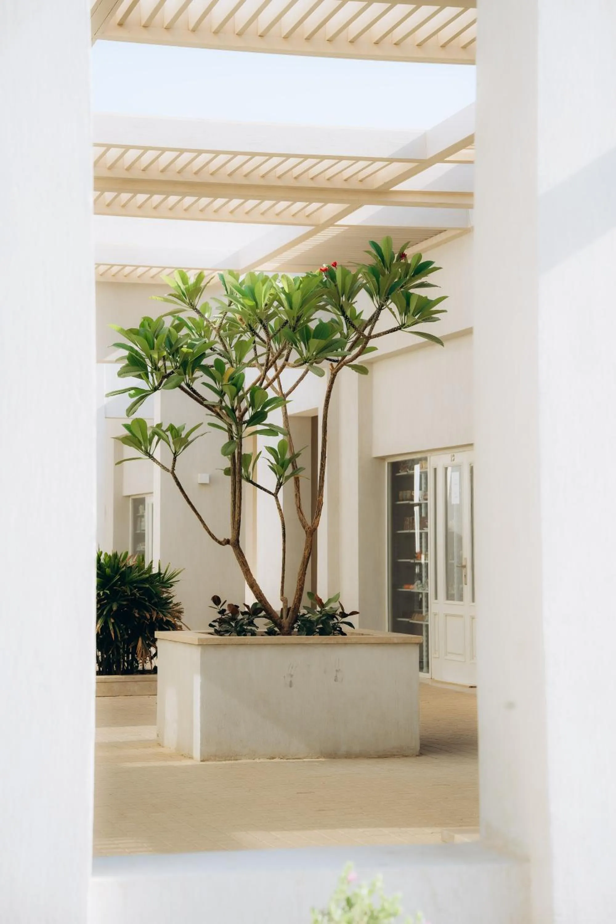 Day in Sentido Reef Oasis Suakin Resort