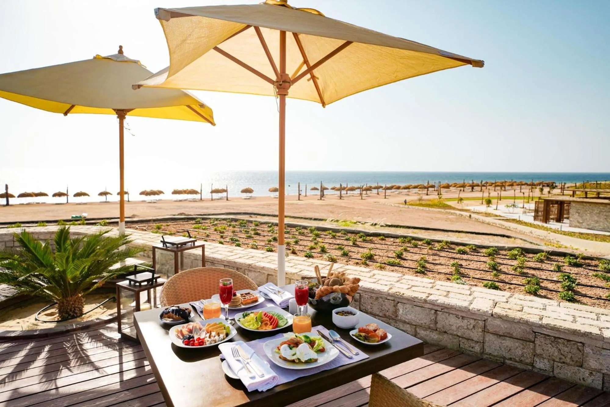 Balcony/Terrace in Sentido Reef Oasis Suakin Resort